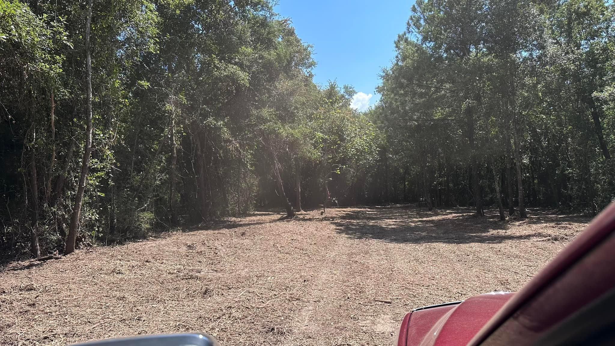 All Photos for White’s Land Maintenance in Milton,, FL