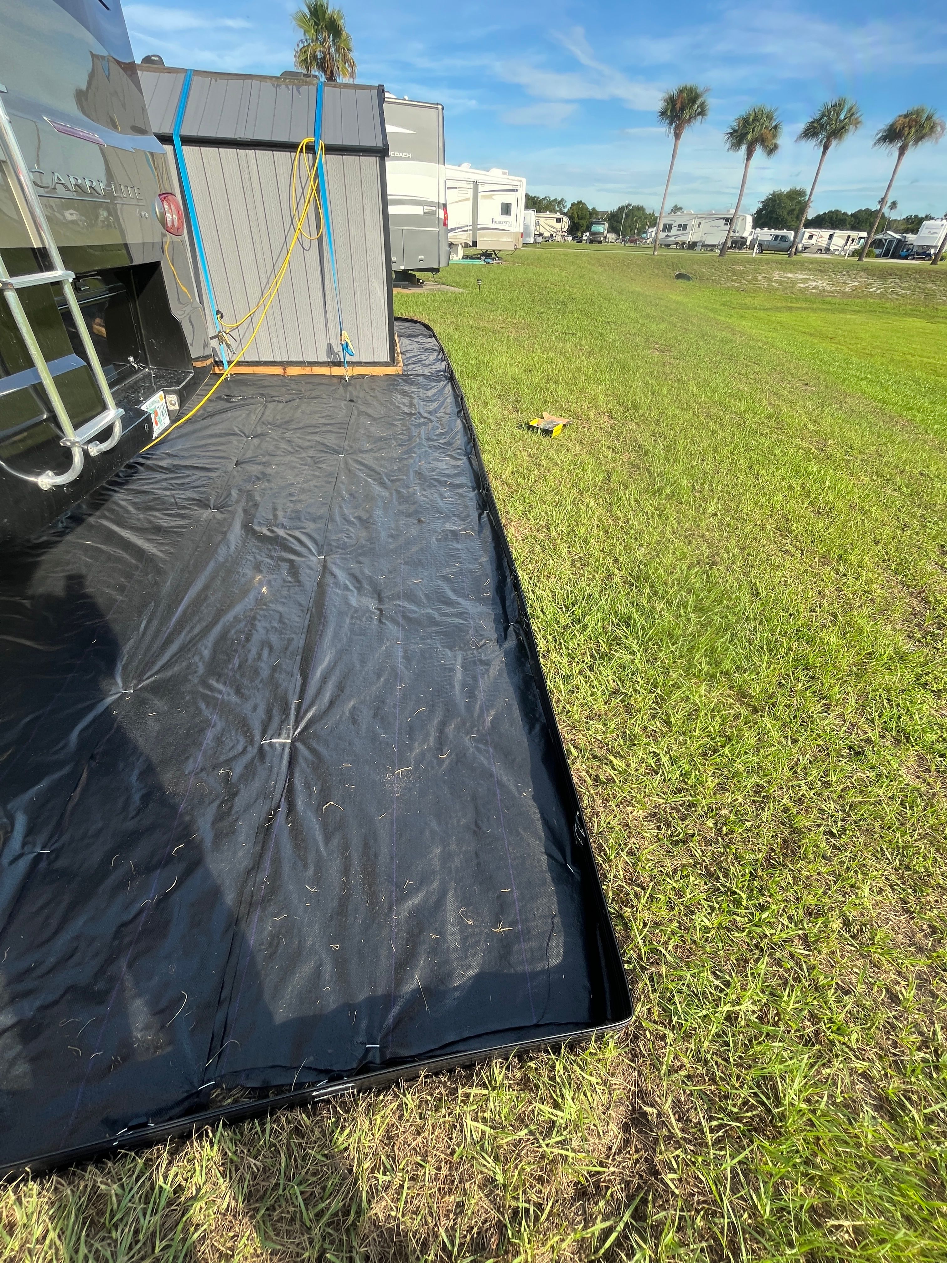 Tree Services for Ludlows Services in Clermont, FL