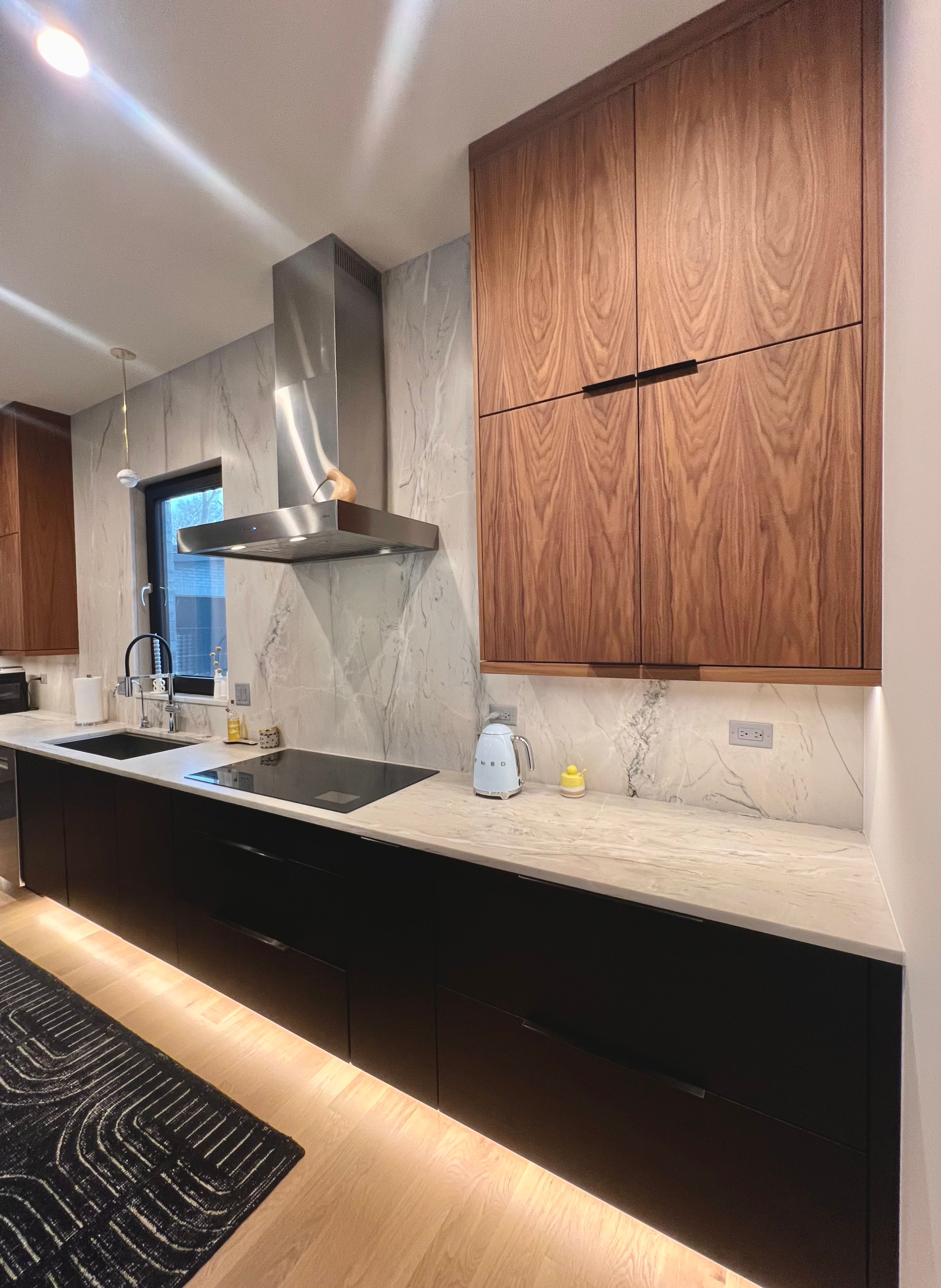 Prospect Heights Modern Kitchen for Ekwood Finishes in St. Charles, IL