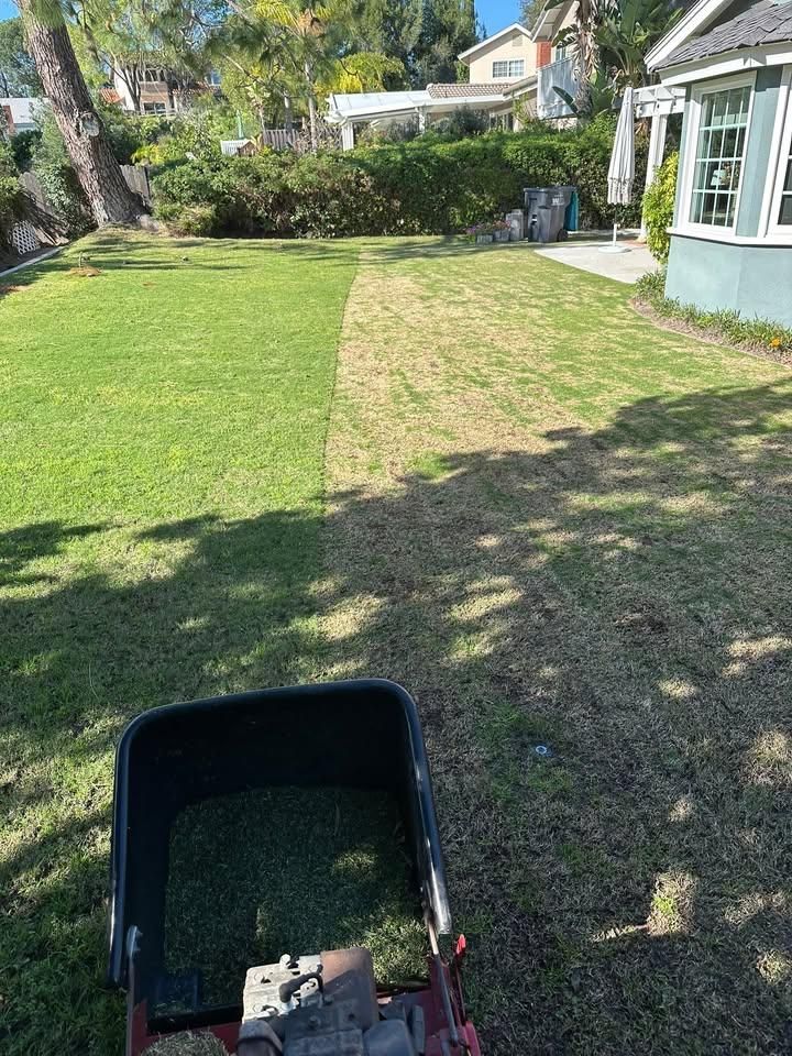  for Benito's Gardening in San Juan Capistrano, CA