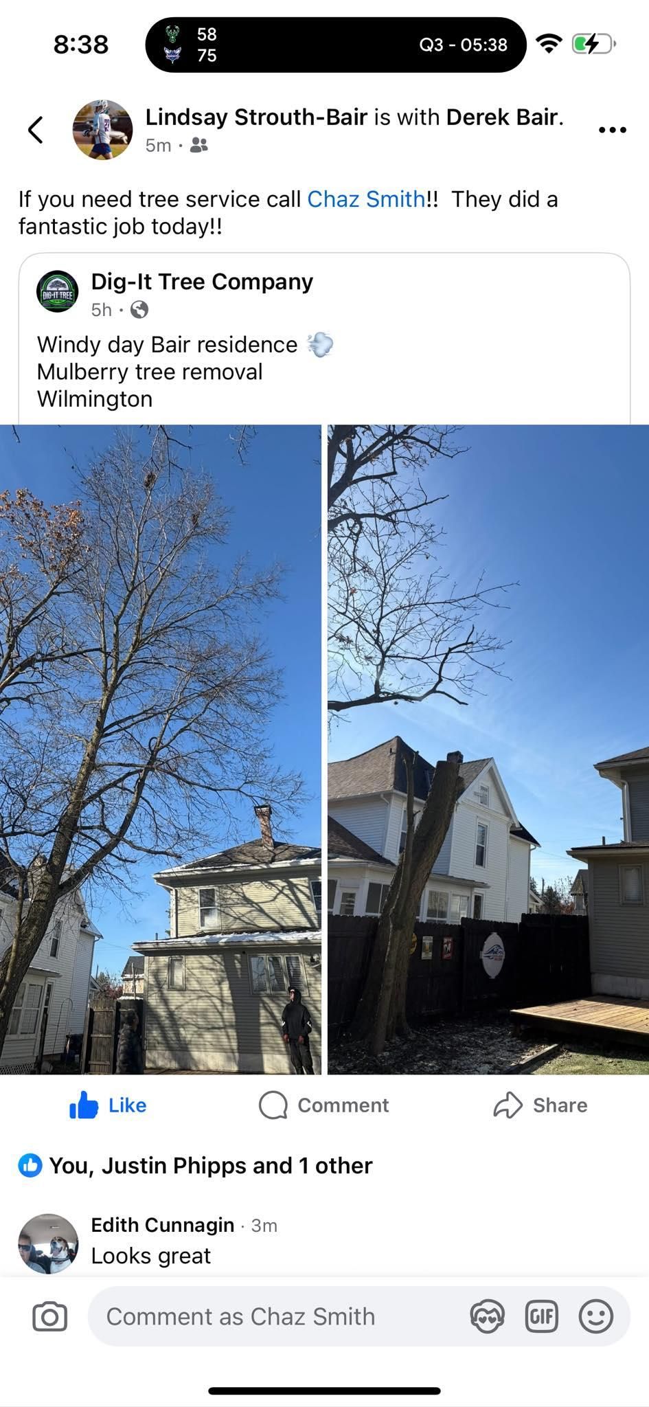  for Dig-It Tree Company in Mason, OH