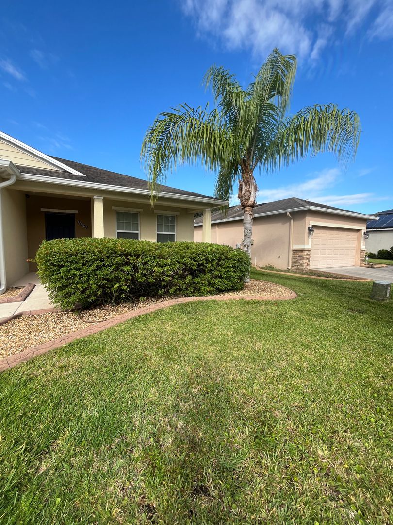 Tree Services for Ludlows Services in Clermont, FL