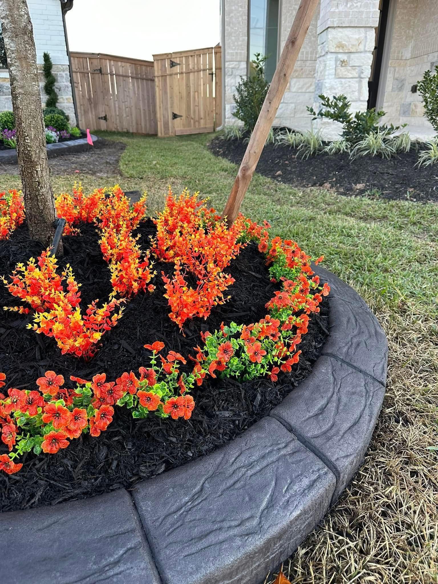  for Texas Curb N Borders in Houston, TX