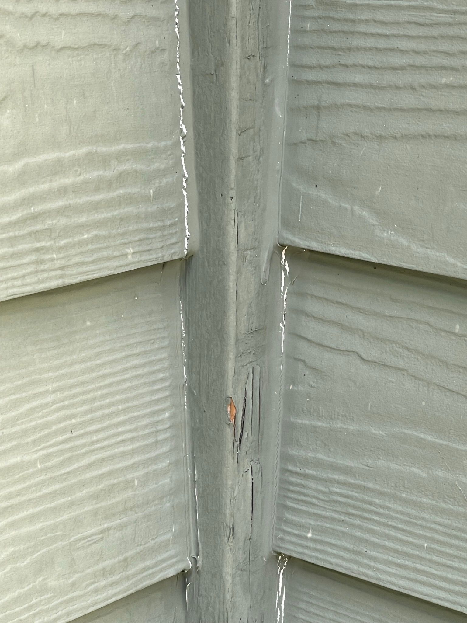  for Tony's Remodeling & Painting in Renton, WA