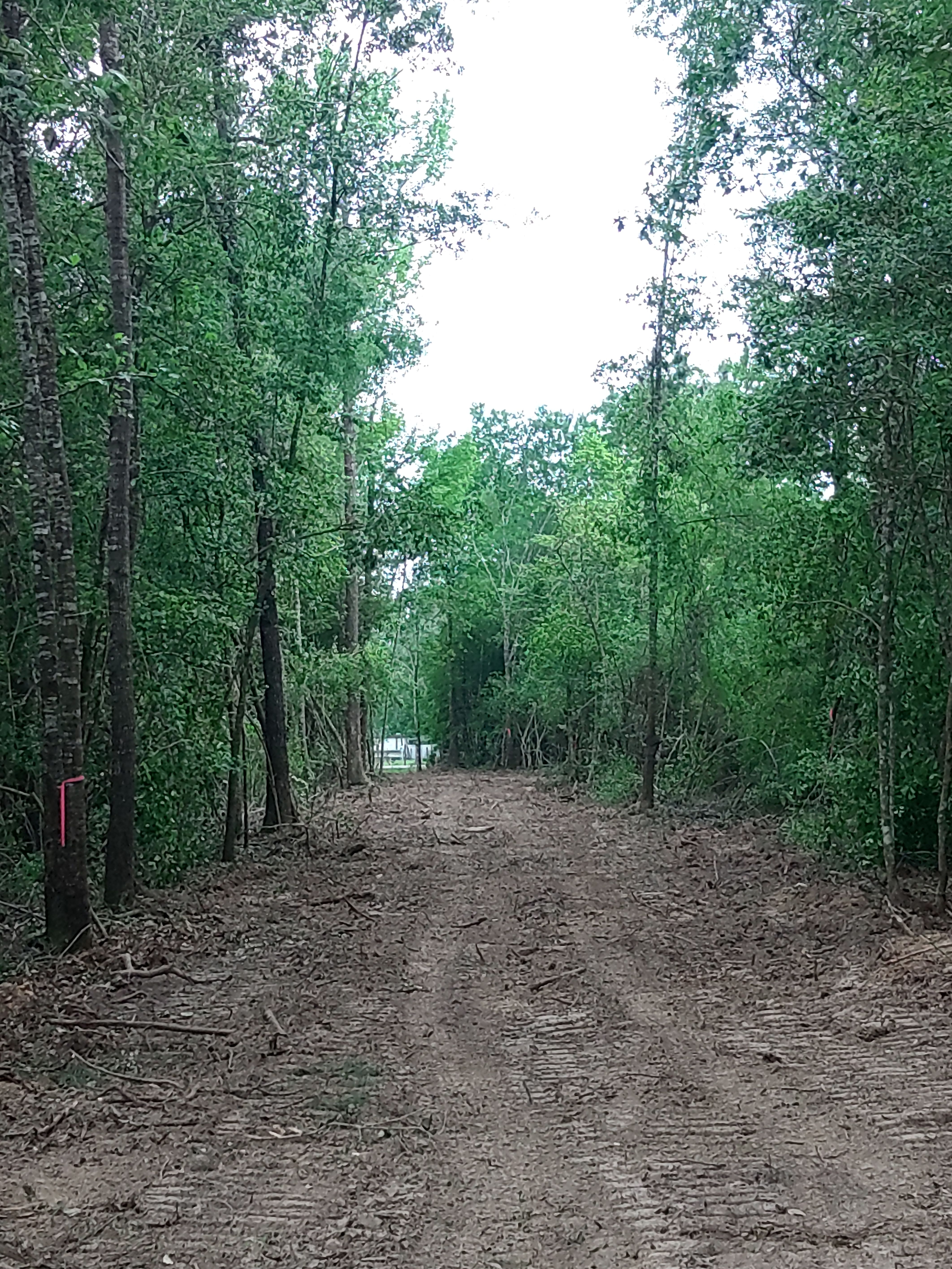 All Photos for Big Thicket Land Clearing in Kountze, TX