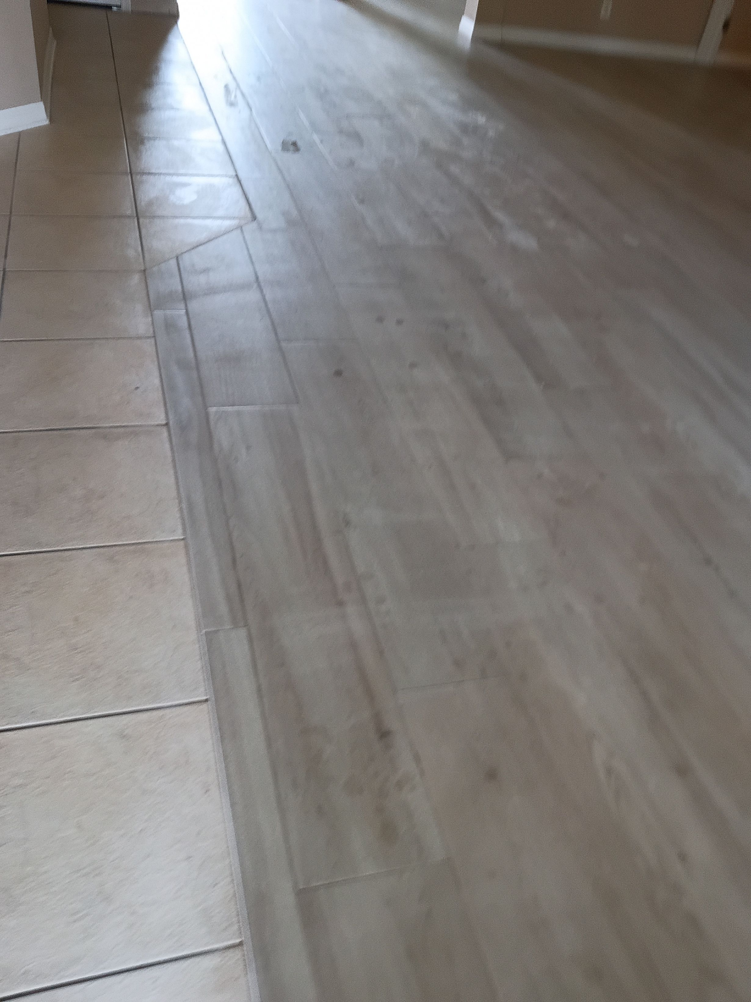  for Travieso Flooring LLC in Dade City, FL