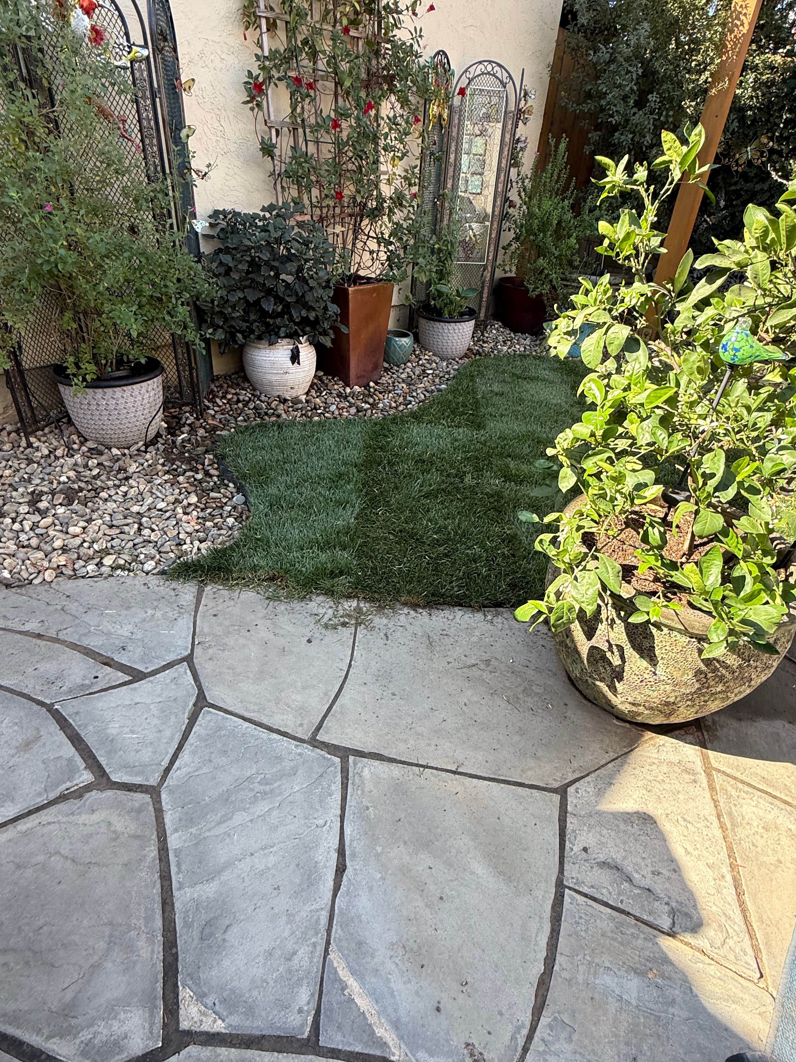  for CBA Landscaping in Hayward, CA