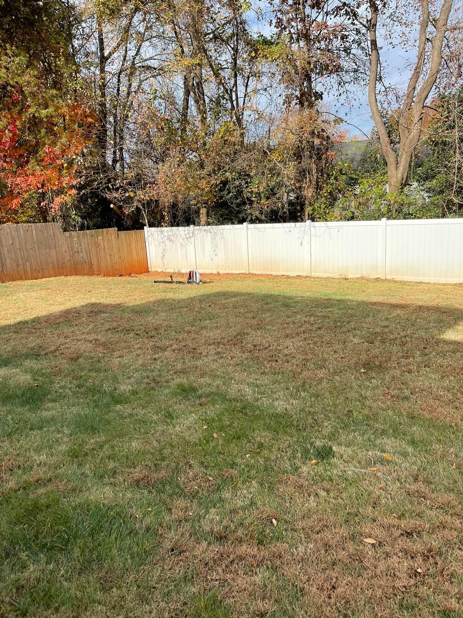  for Stem Tree Service in Belmont, NC
