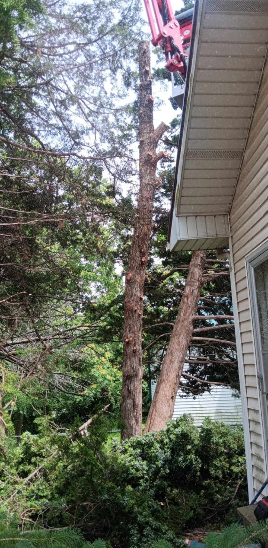  for Lawn Ranger Yard And Tree Service LLC in Ottumwa, IA