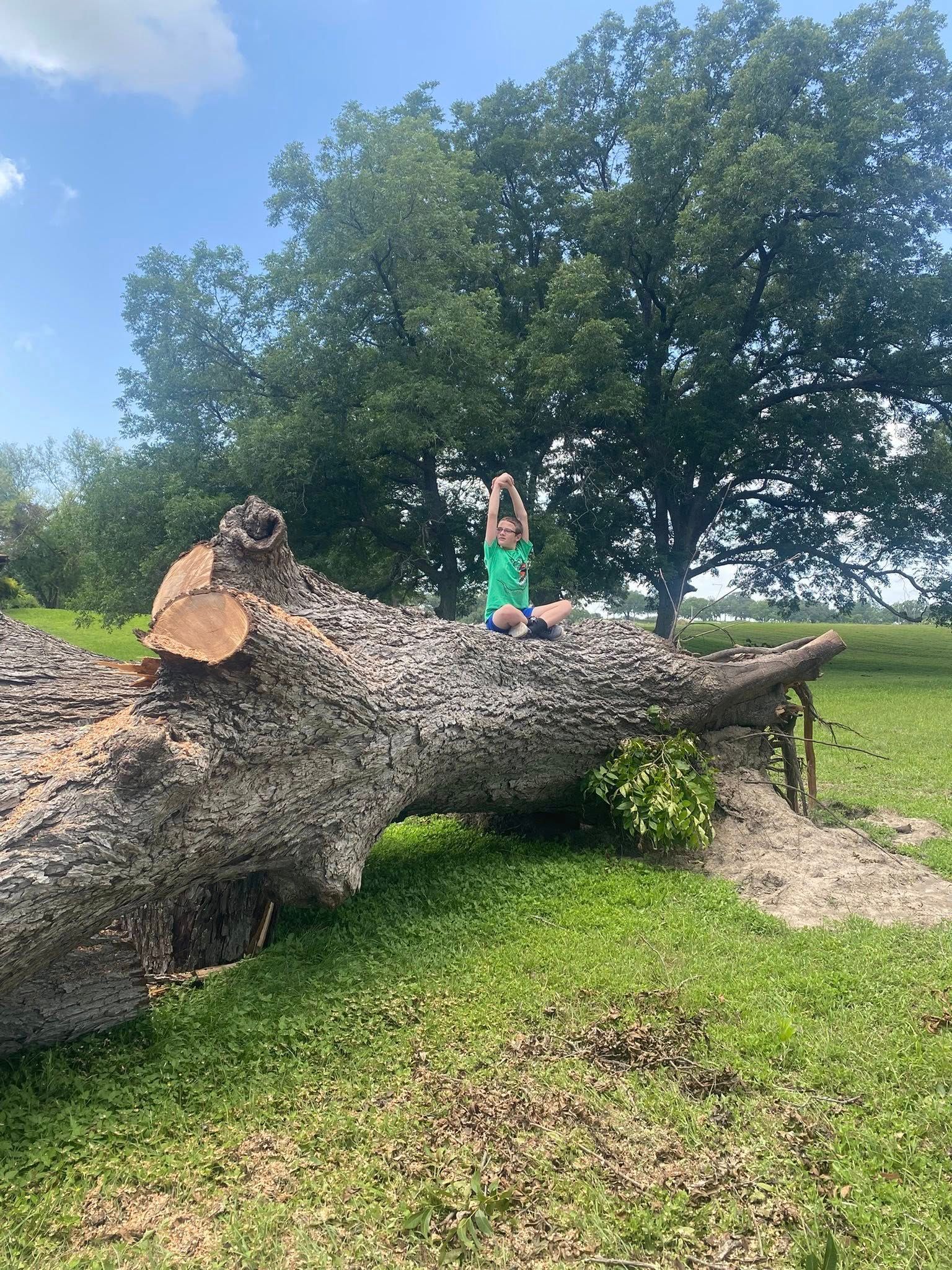  for West Stump Grinding in Temple, TX