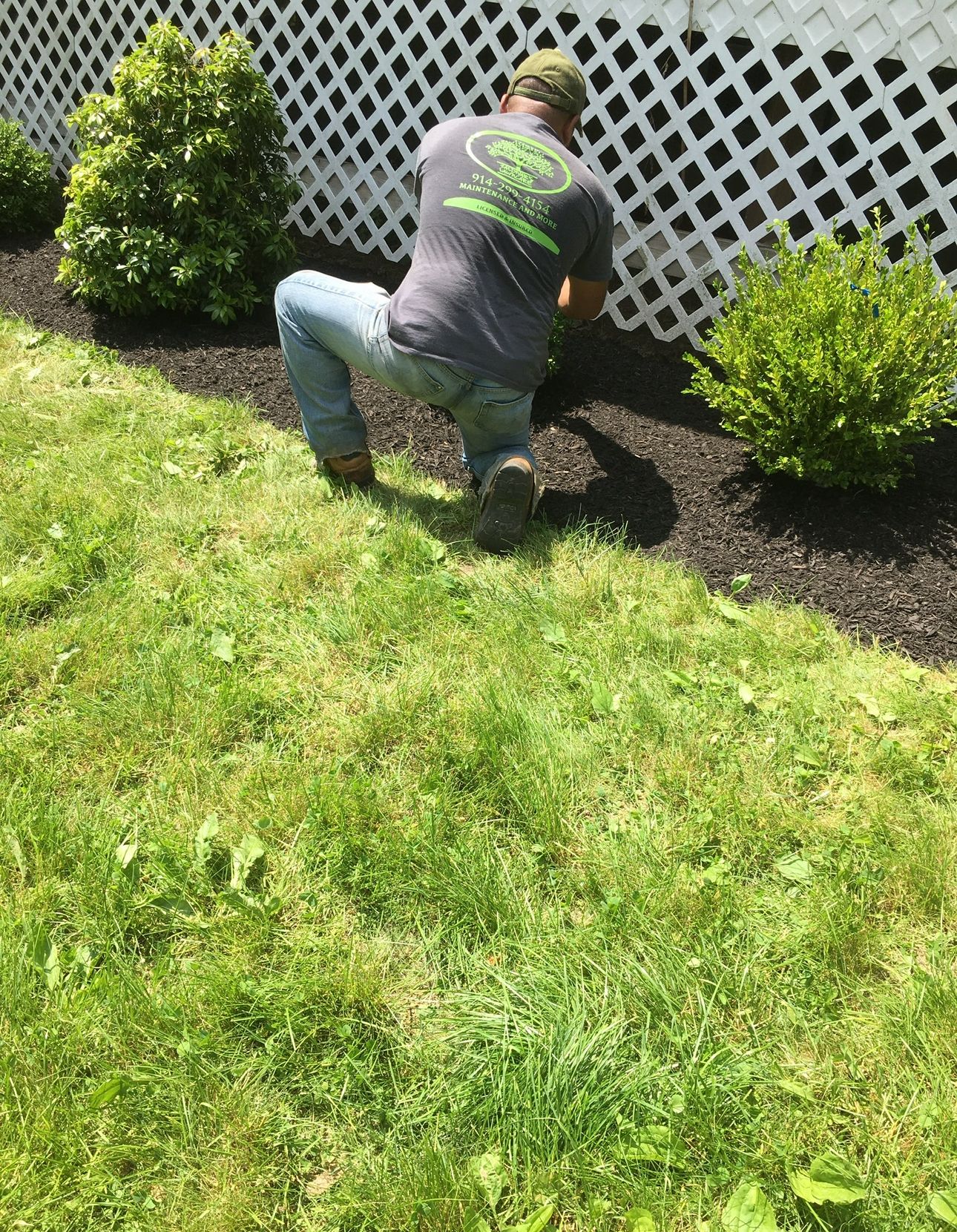  for Zaldivar’s Lawn Care INC  in Peekskill, NY