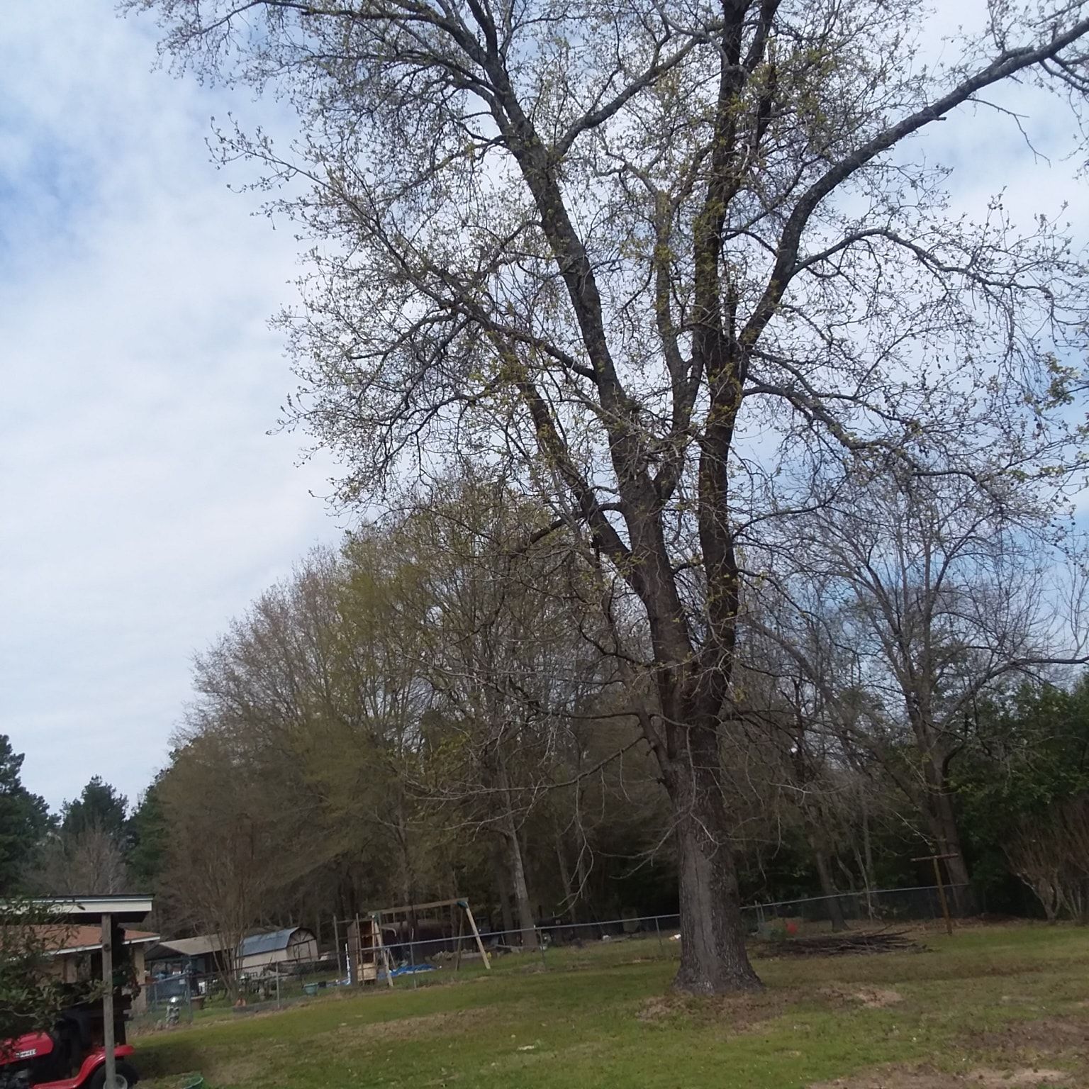 All Photos for Leon Landscaping & Tree Service in Palestine, TX