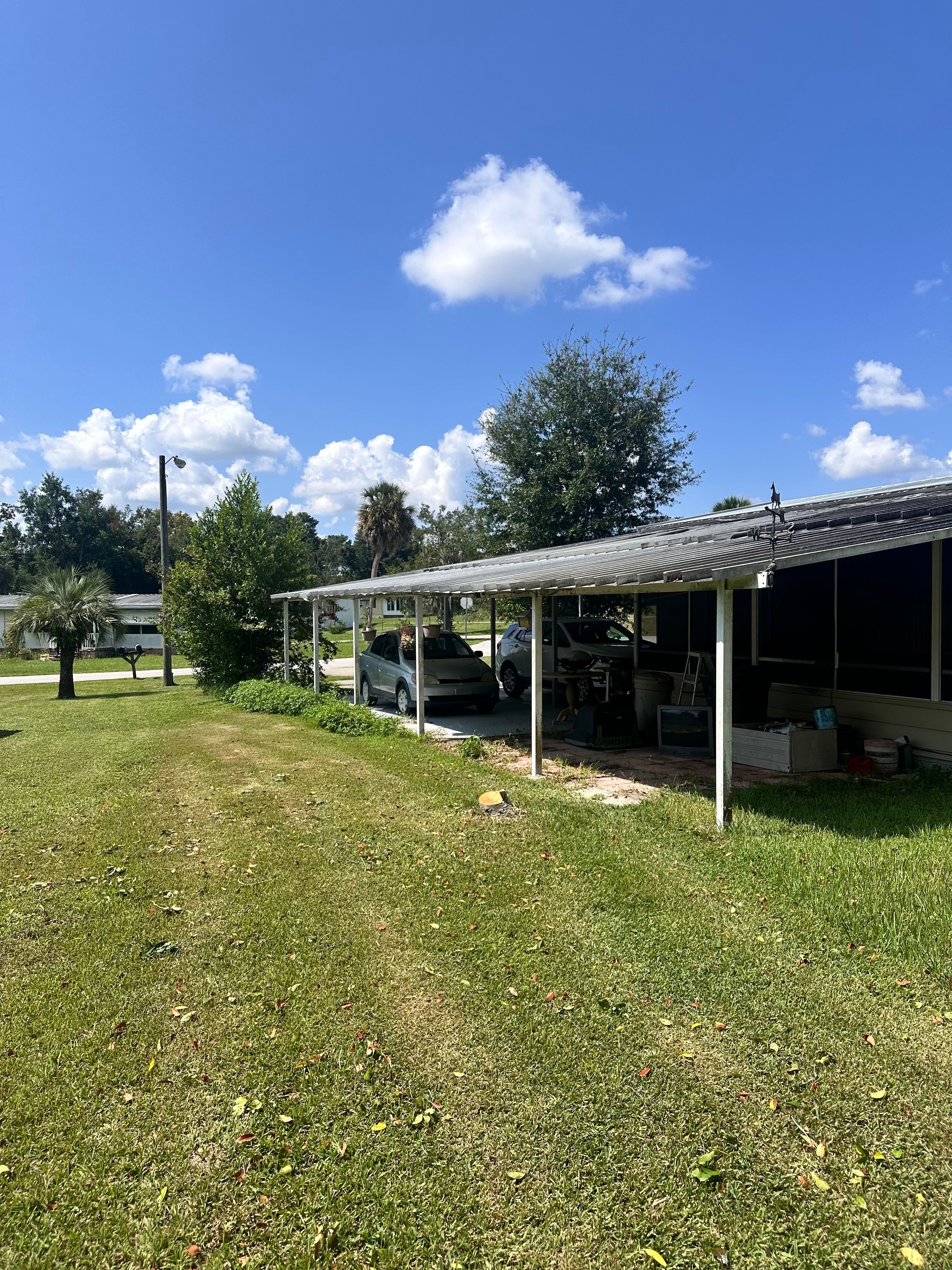  for Tree Amigos Tree Service in Ocala, Fl