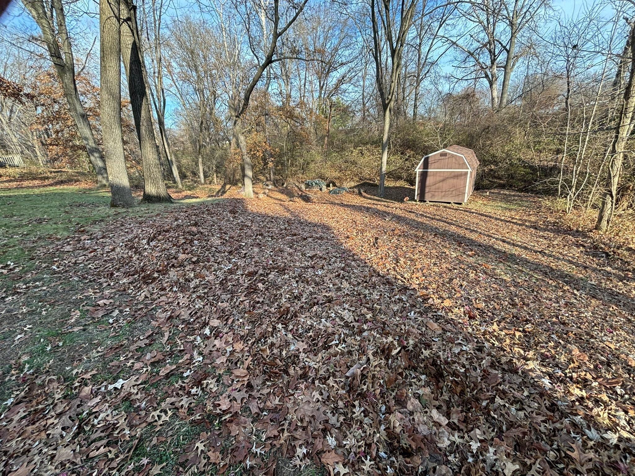  for Andrew's Lawn Service LLC in Lebanon, IL