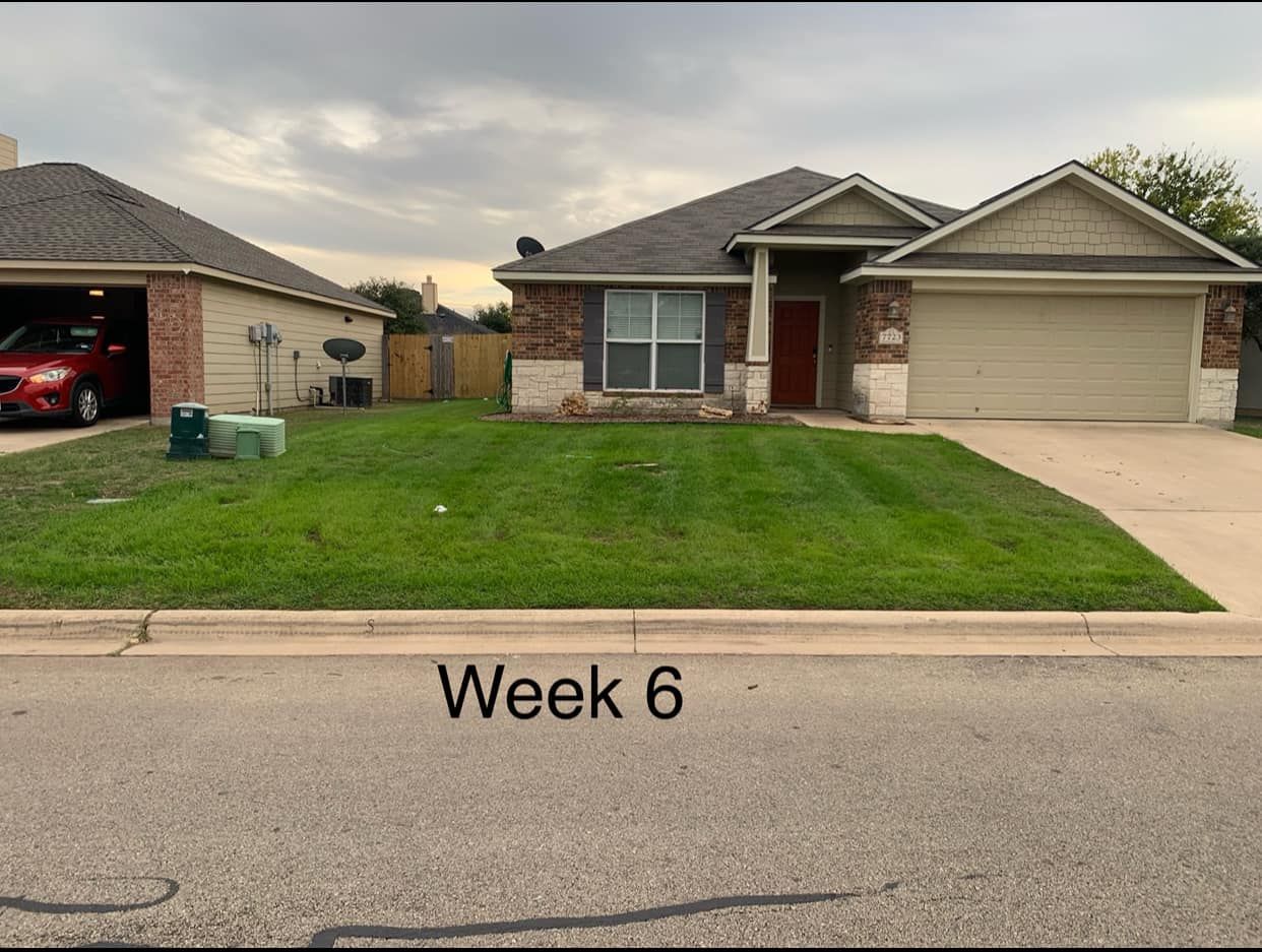  for Scalpel Lawn Service in Temple, TX