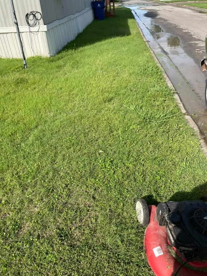 Landscaping for Juniors Lawn Service in Waxahachie, TX