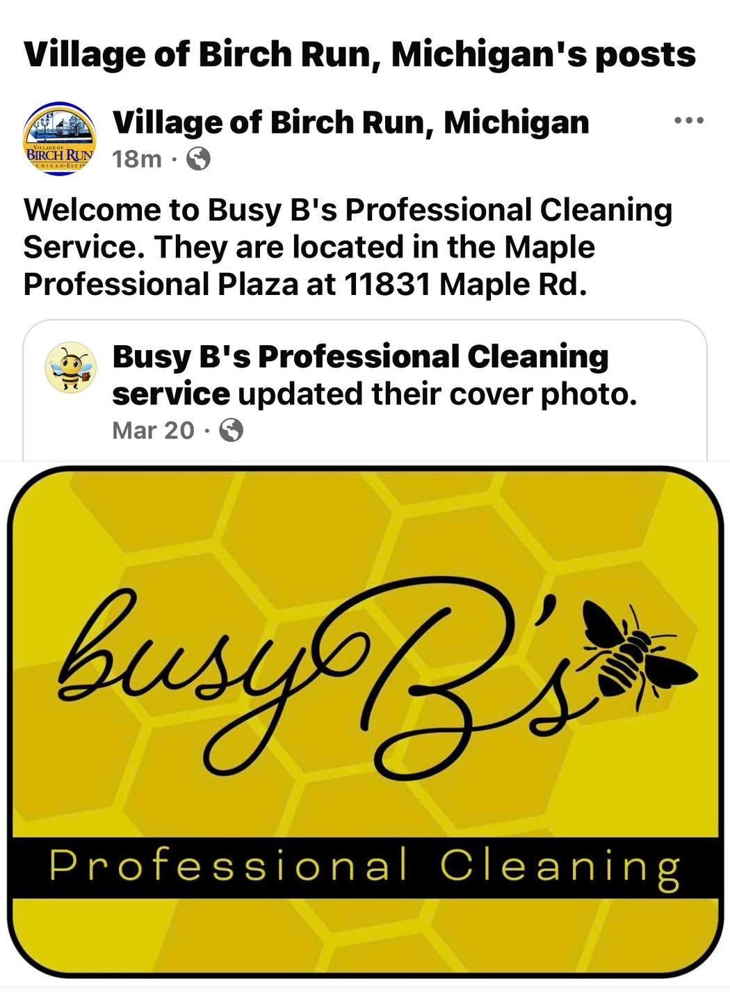 All Photos for Busy B's Professional Cleaning in Birch Run, MI