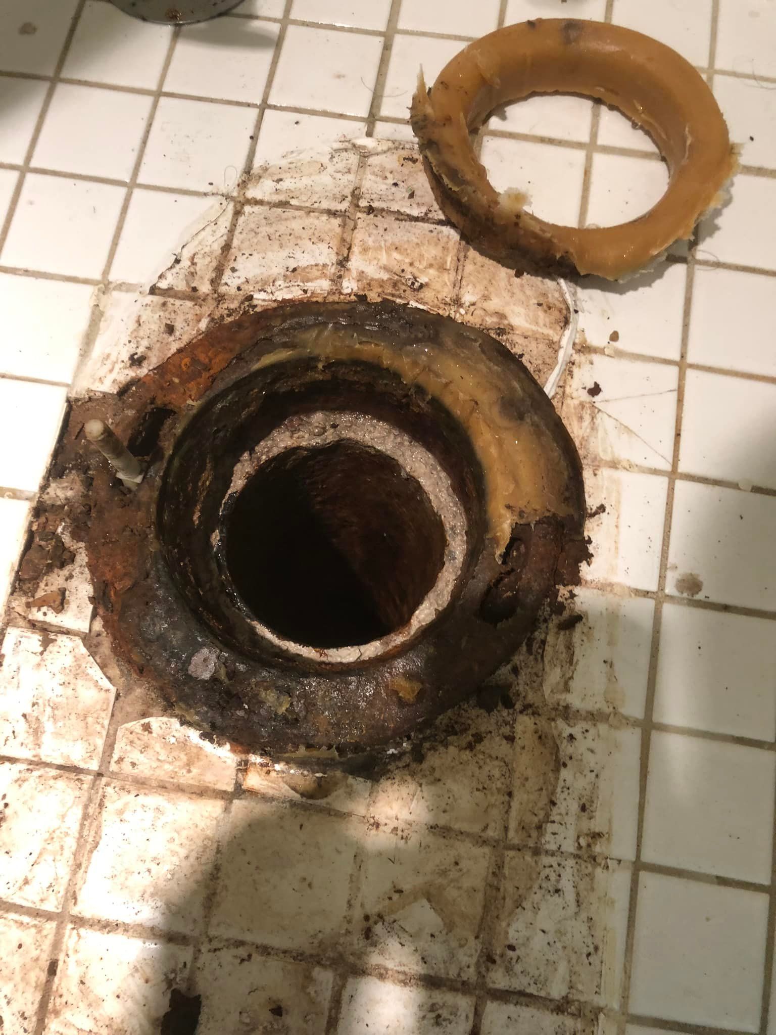  for Drain Pro Plus in Essex, MD