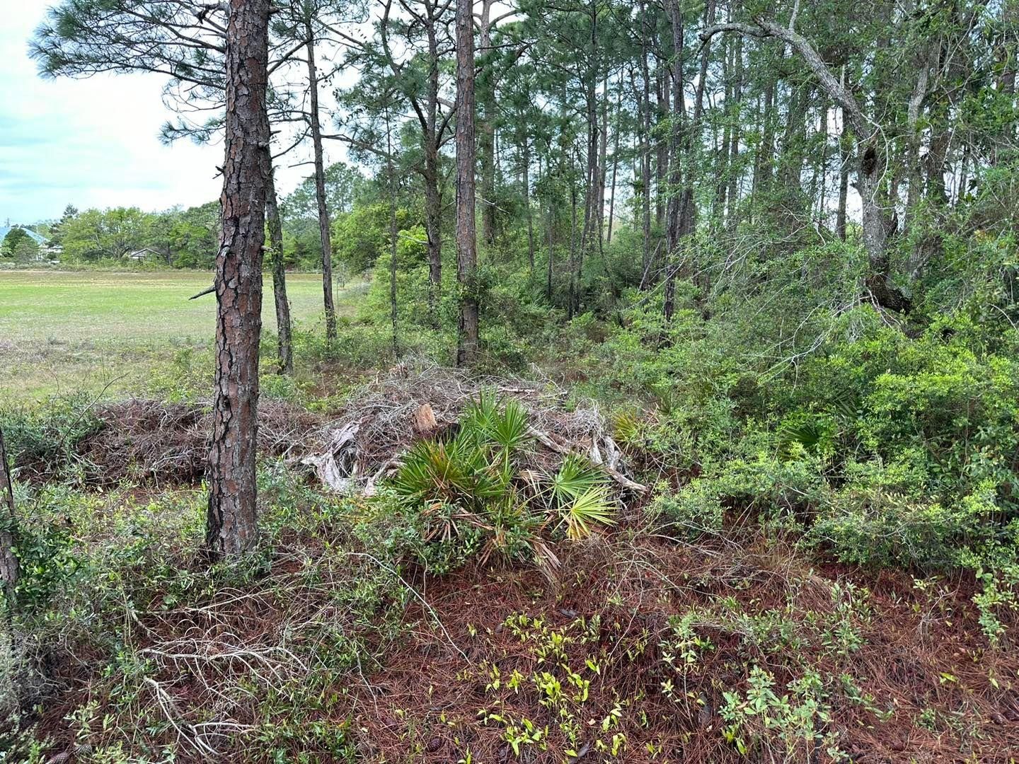 All Photos for White’s Land Maintenance in Milton,, FL