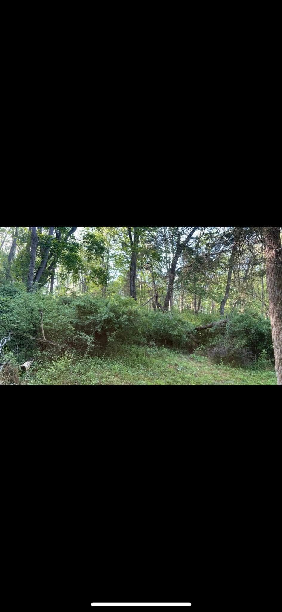 All Photos for Pleasant Valley Land Management  in Westminster, MD
