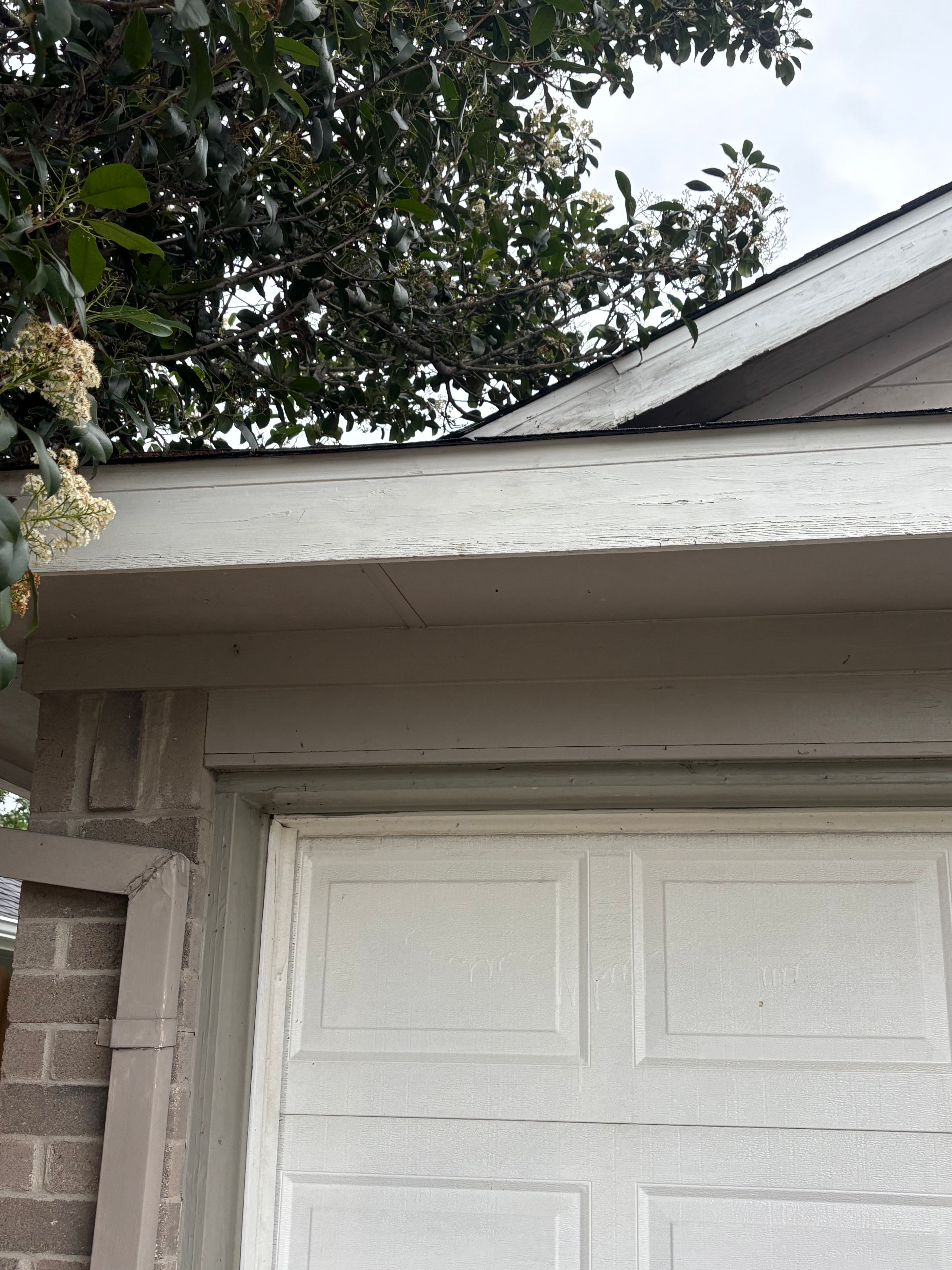  for Omen Exterior Cleaning LLC in Houston, TX