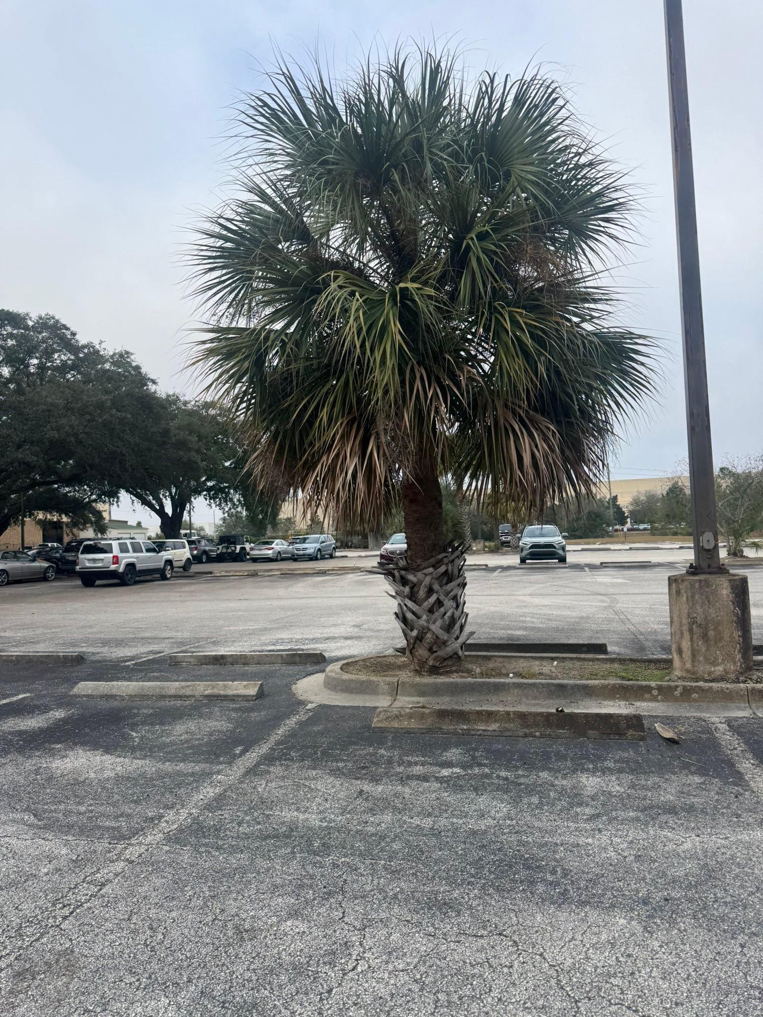 All Photos for Jacksonville Outdoors in Jacksonville, FL