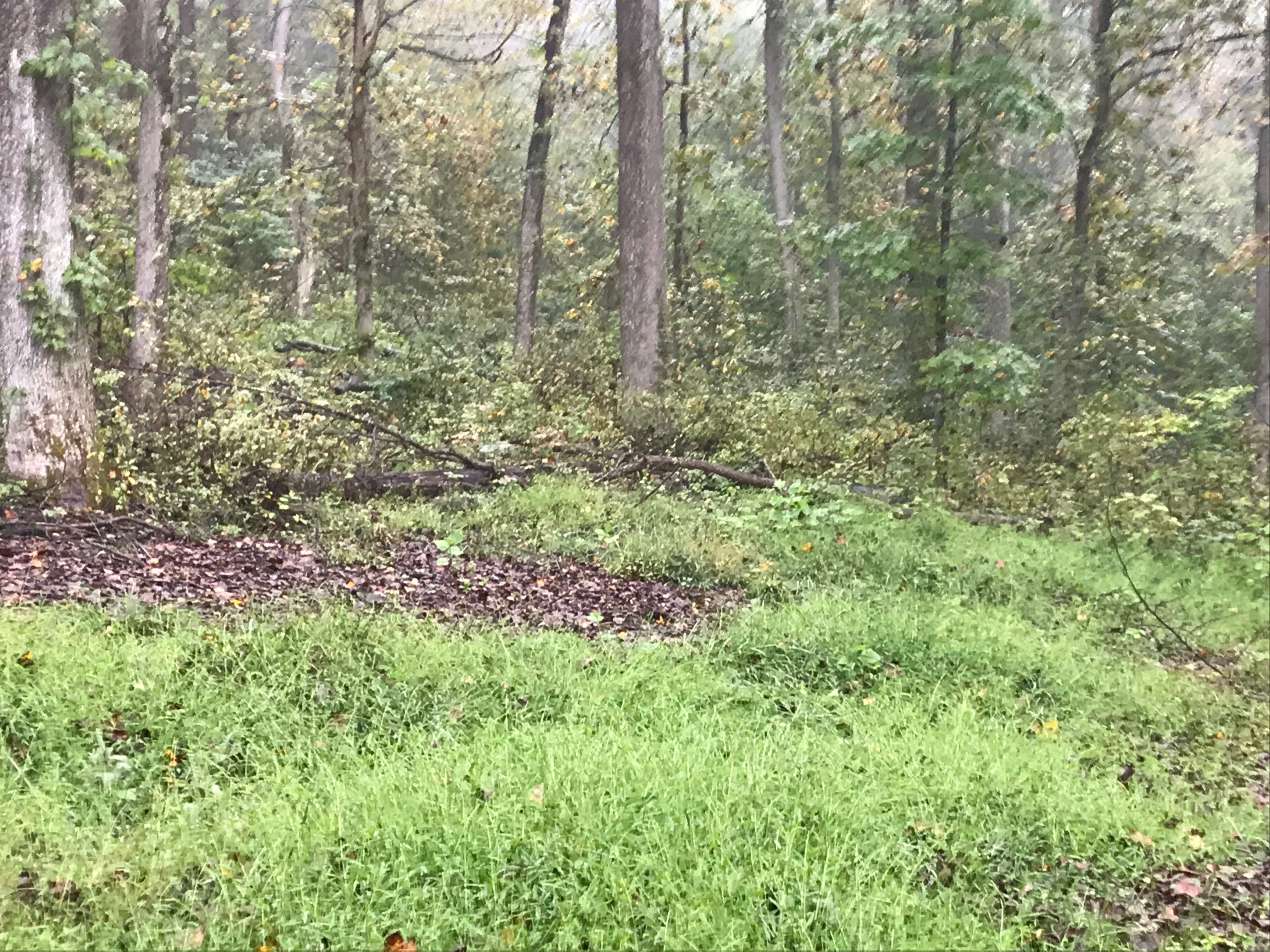  for 9999 Building and Renovation LLC in Warrenton, VA