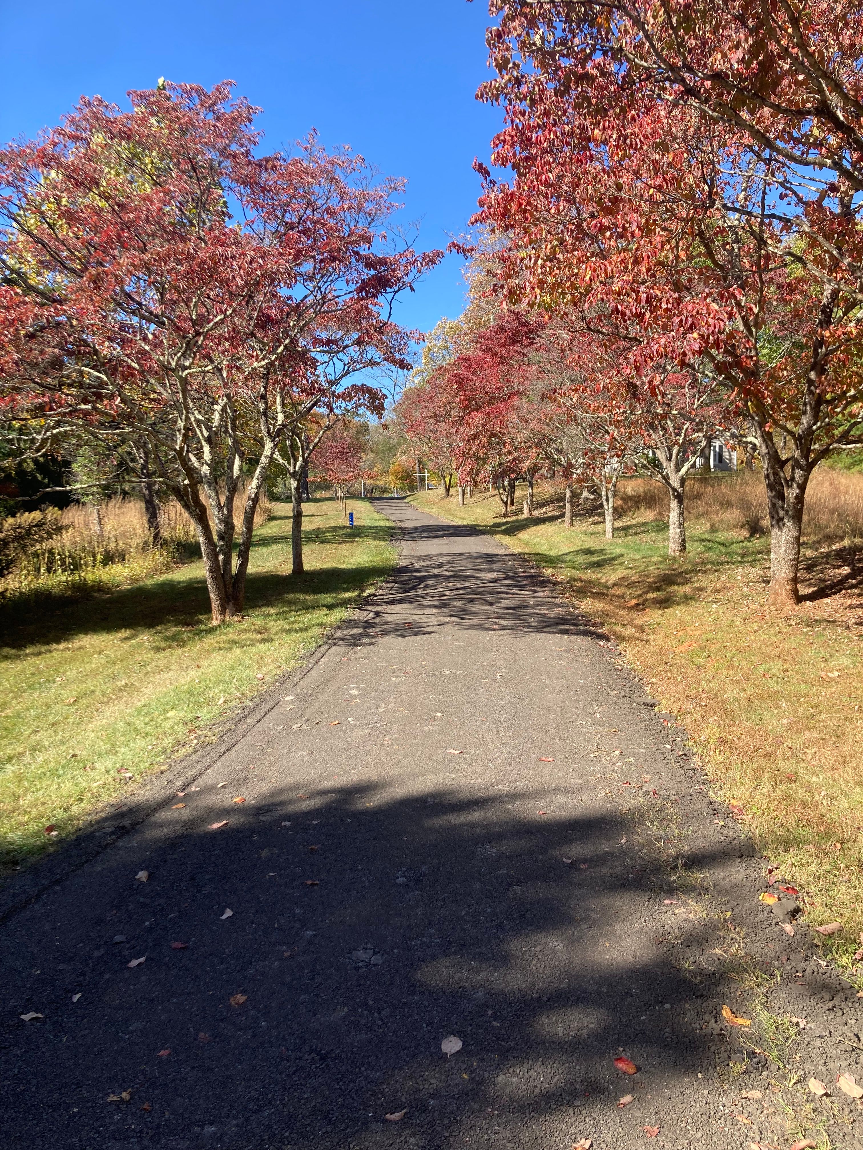  for 9999 Building and Renovation LLC in Warrenton, VA