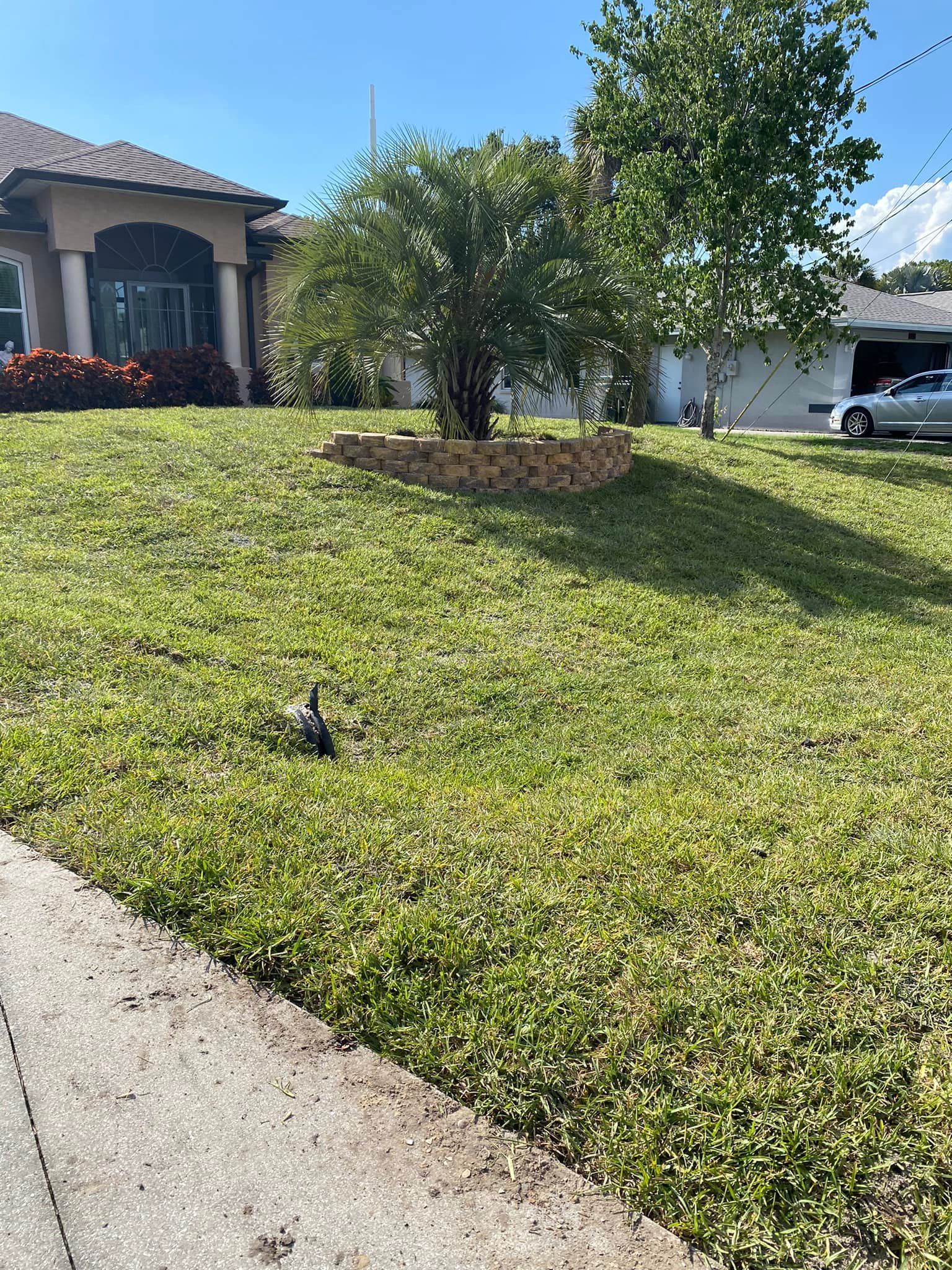 Sodding for Sunshine Sod & More Inc. in Arcadia, FL