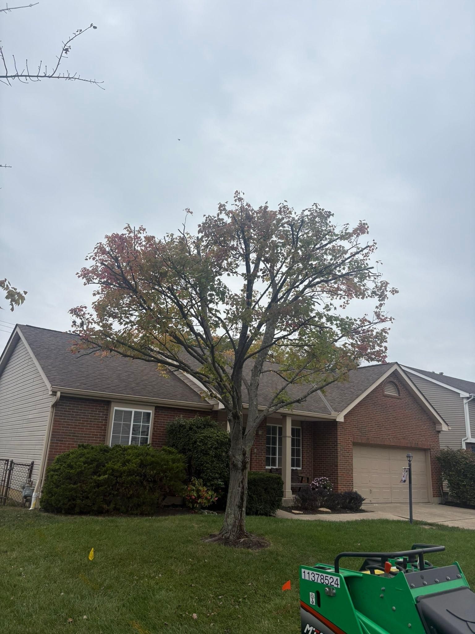 for Dig-It Tree Company in , 
