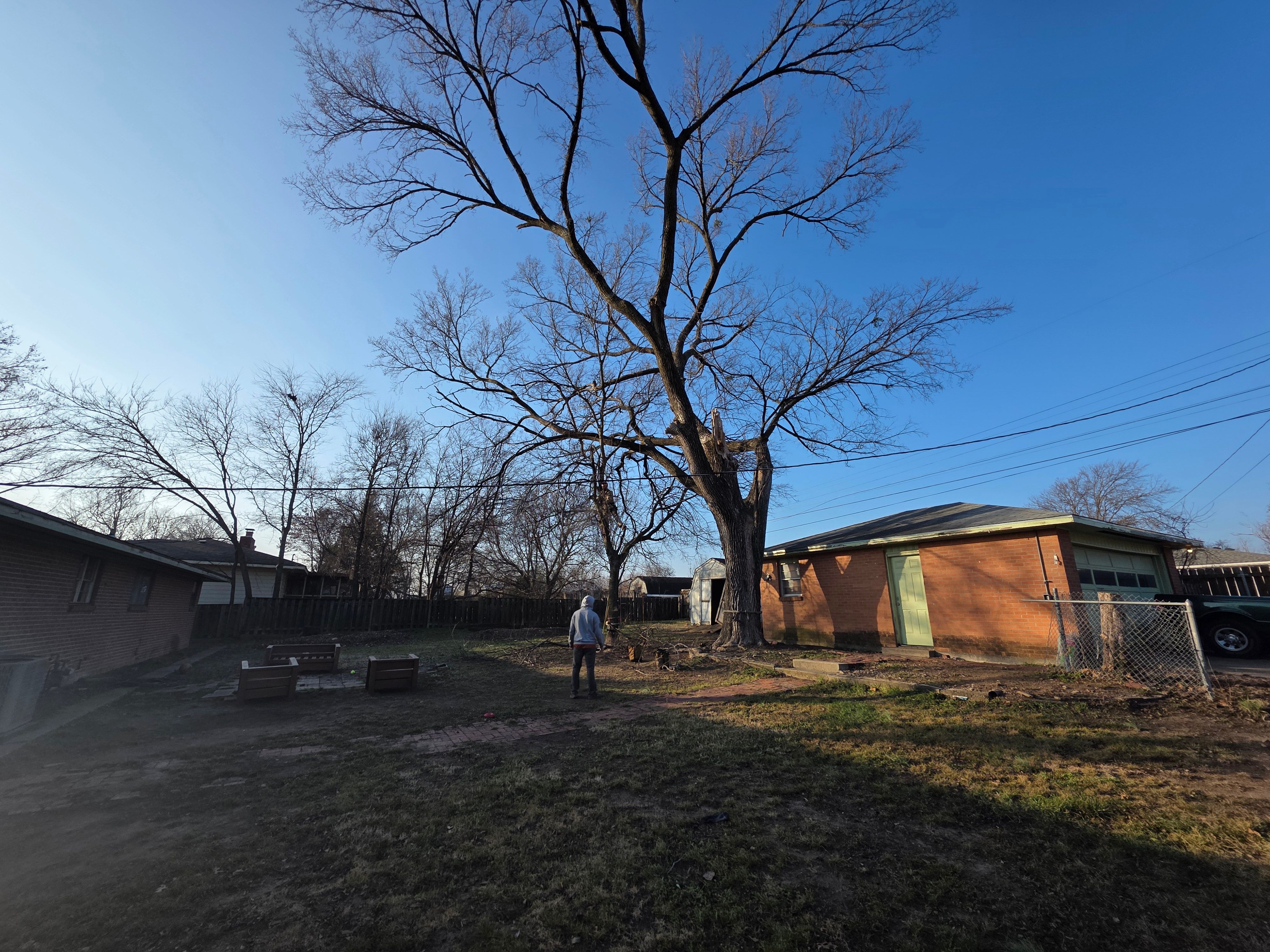  for Oklahoma Tree Guy in Bartlesville, OK