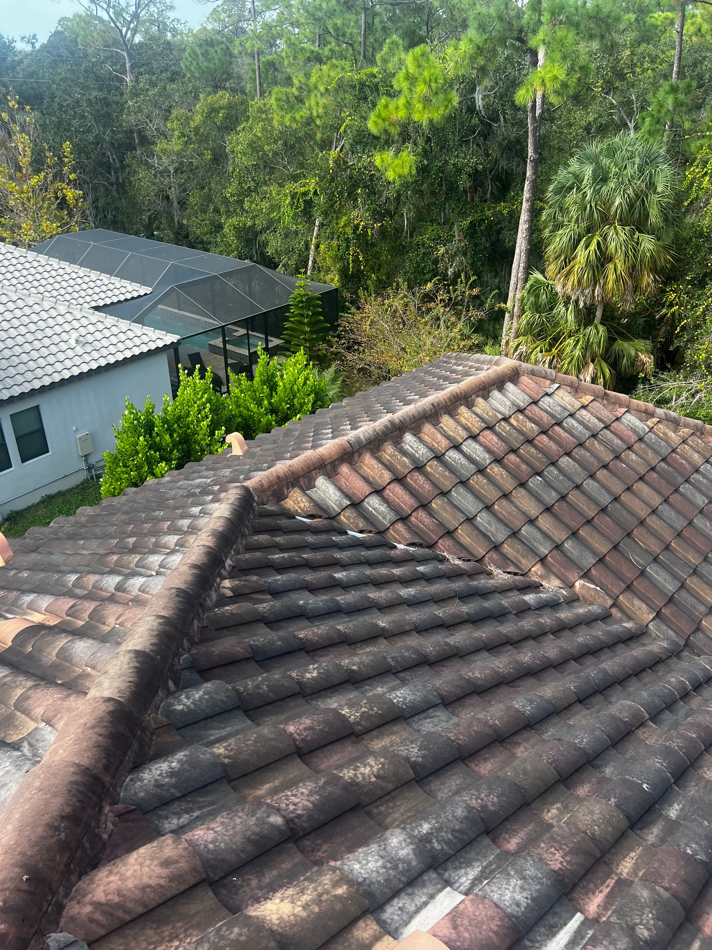  for Barr None Wash Pro in Tampa, FL