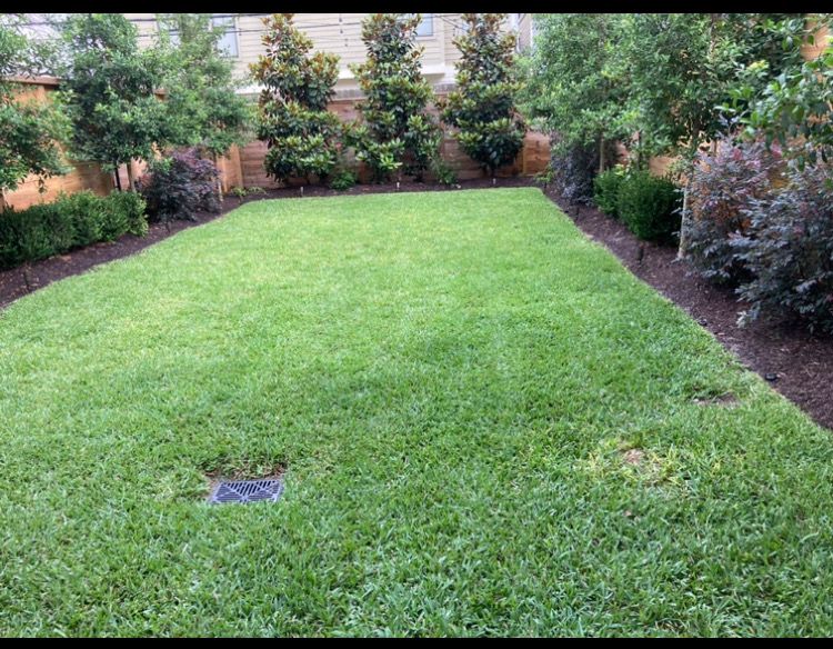  for Cuernavaca Landscaping in Spring, TX