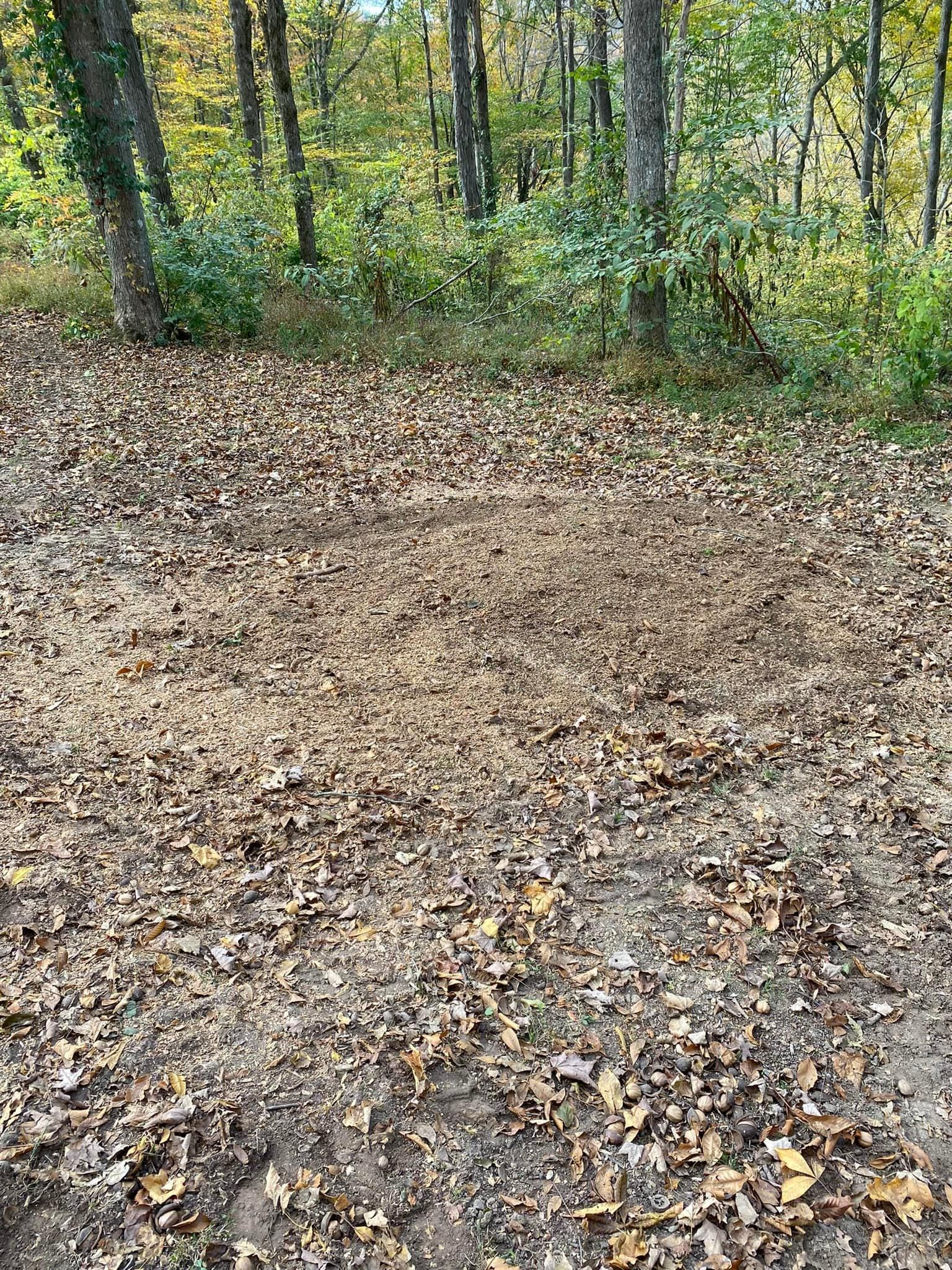 Fall and Spring Clean Up for Atwood’s Tree Care in Liberty,  KY