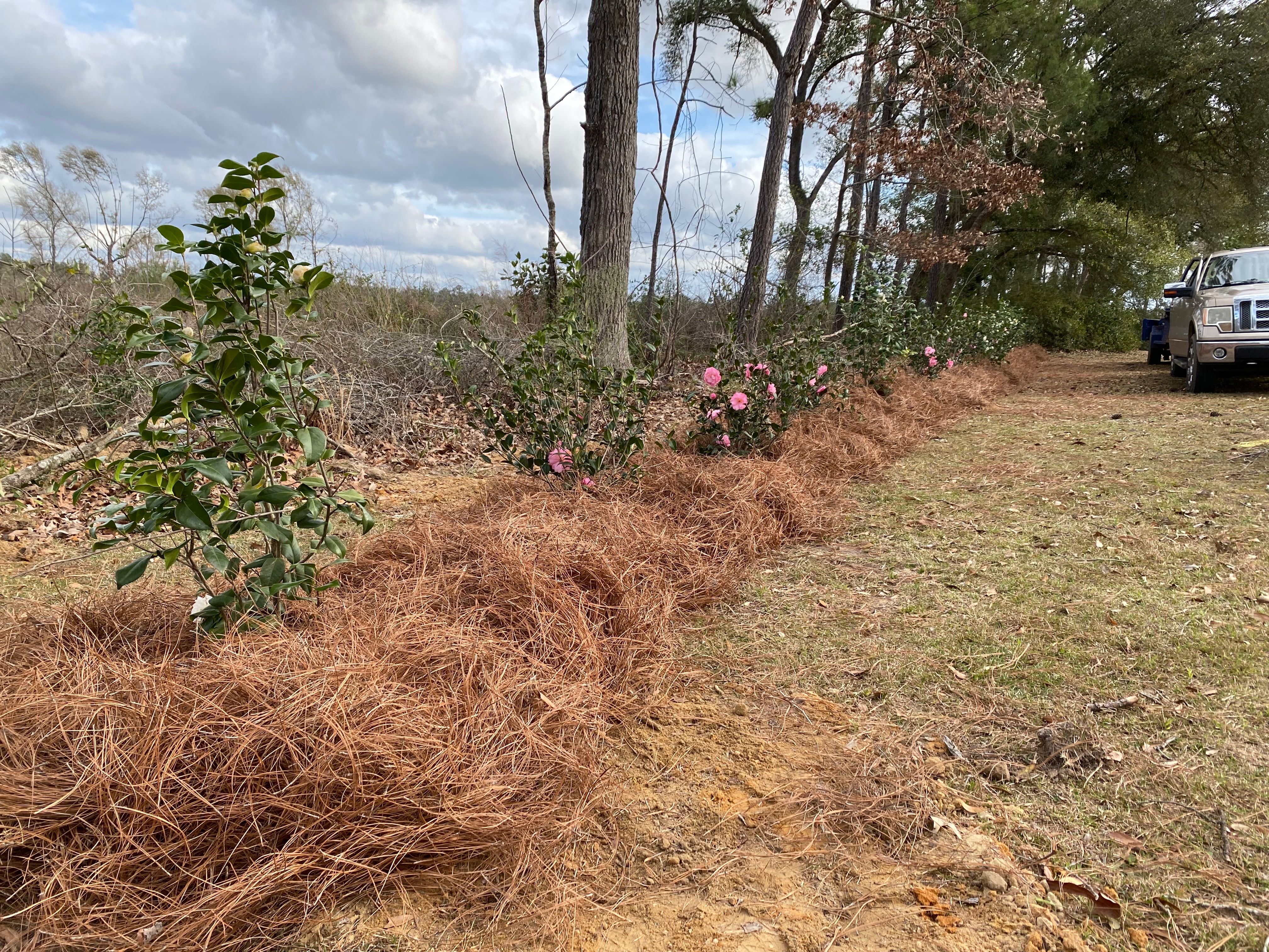  for Grasshopper's Lawn and Landscape in Fairhope, AL