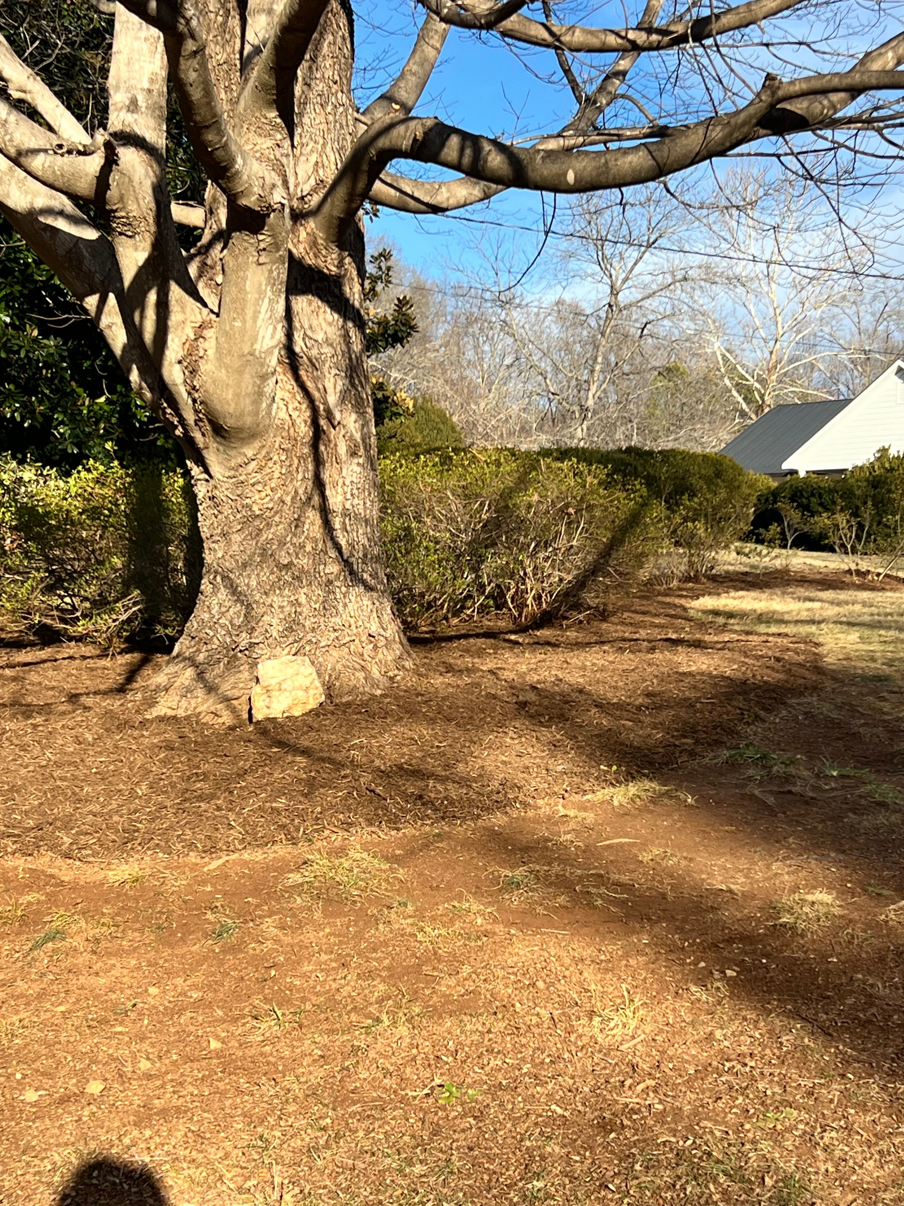  for Valencia’s Lawncare in Charlottesville, VA