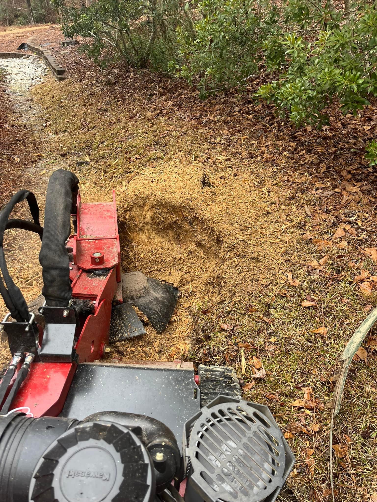 All Photos for Otis Lee Stump Grinding LLC in Elgin, SC