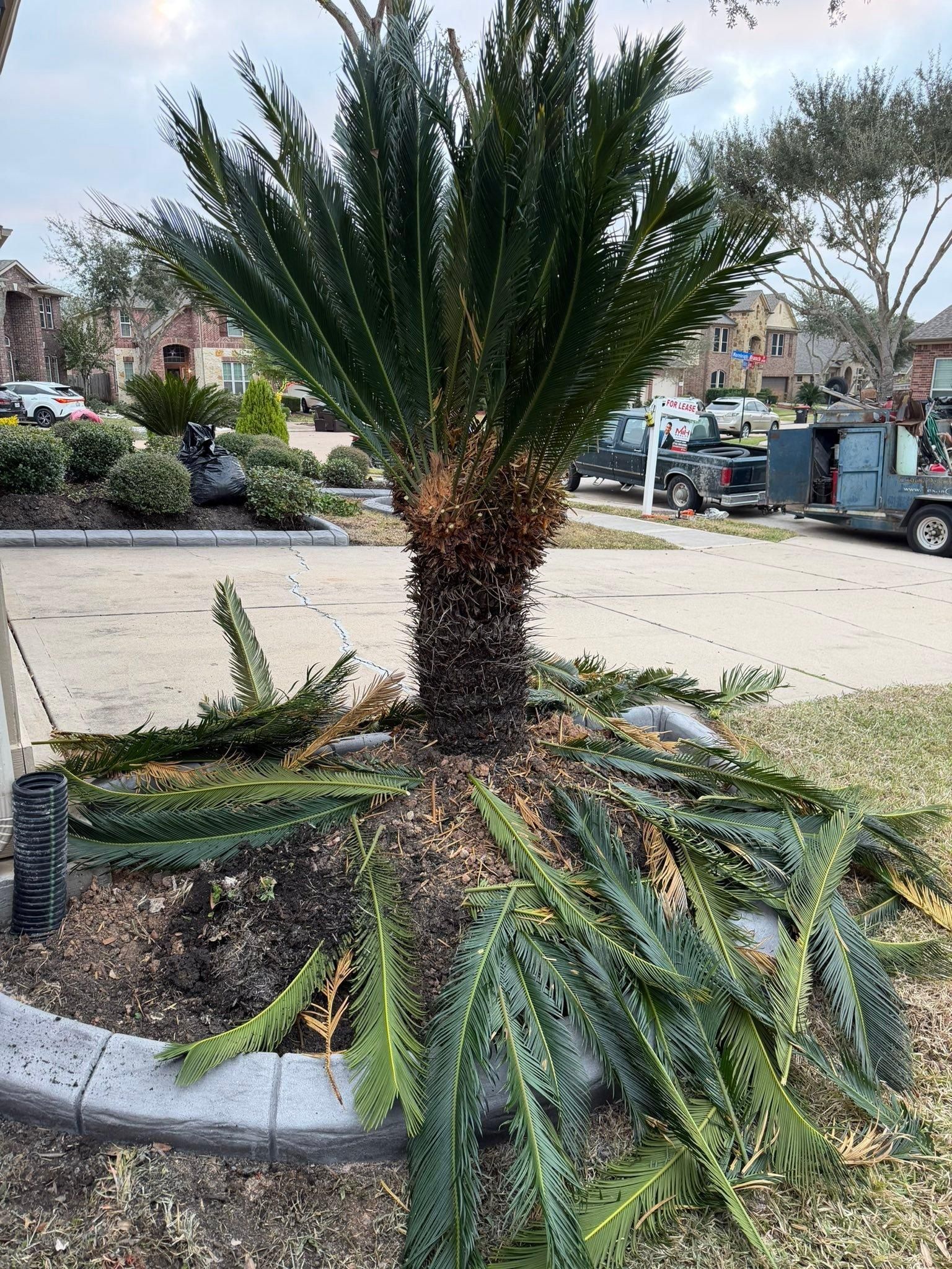  for Texas Curb N Borders in Houston, TX