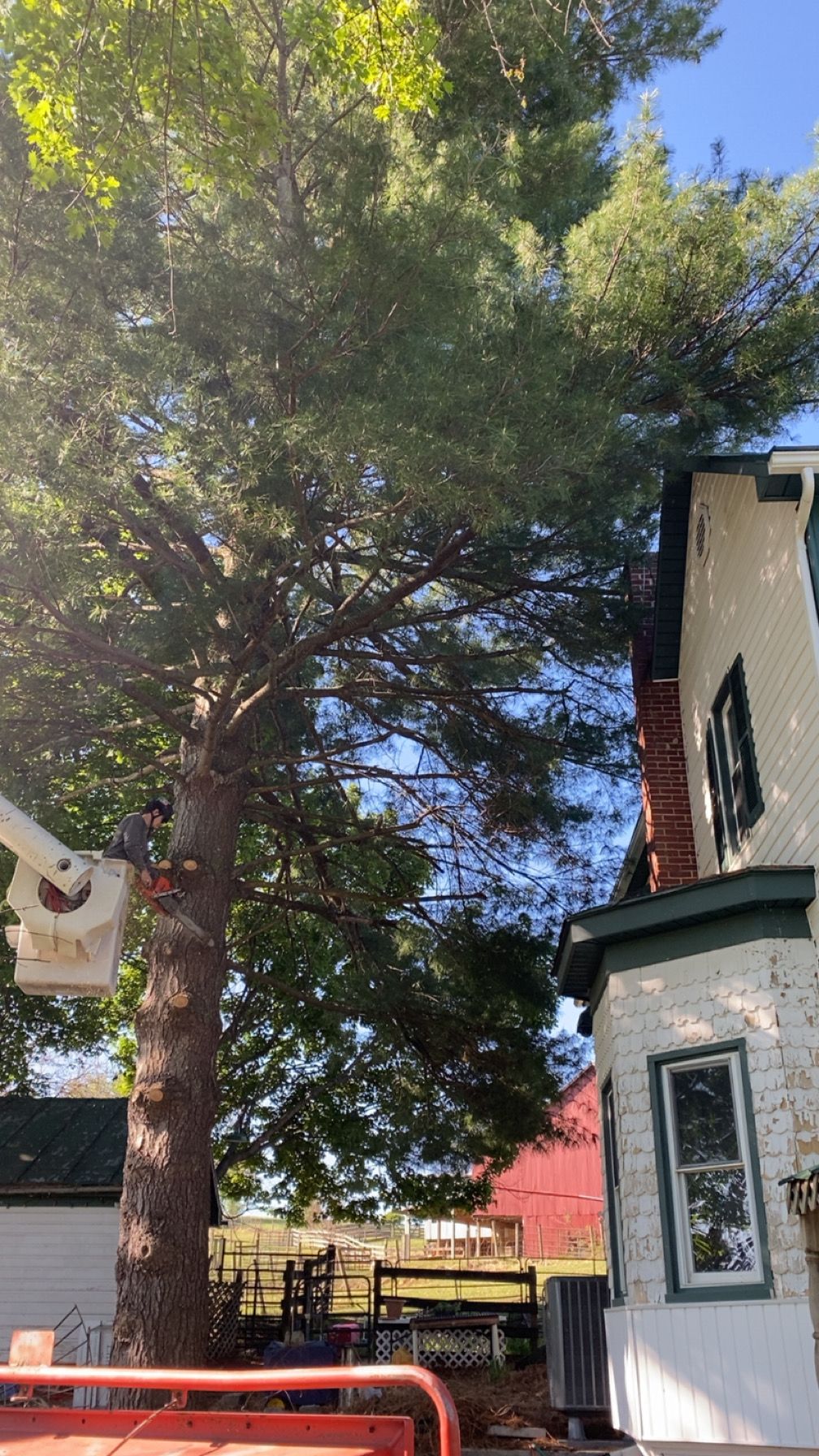 All Photos for Gray's Tree Service  in Shenandoah County, VA