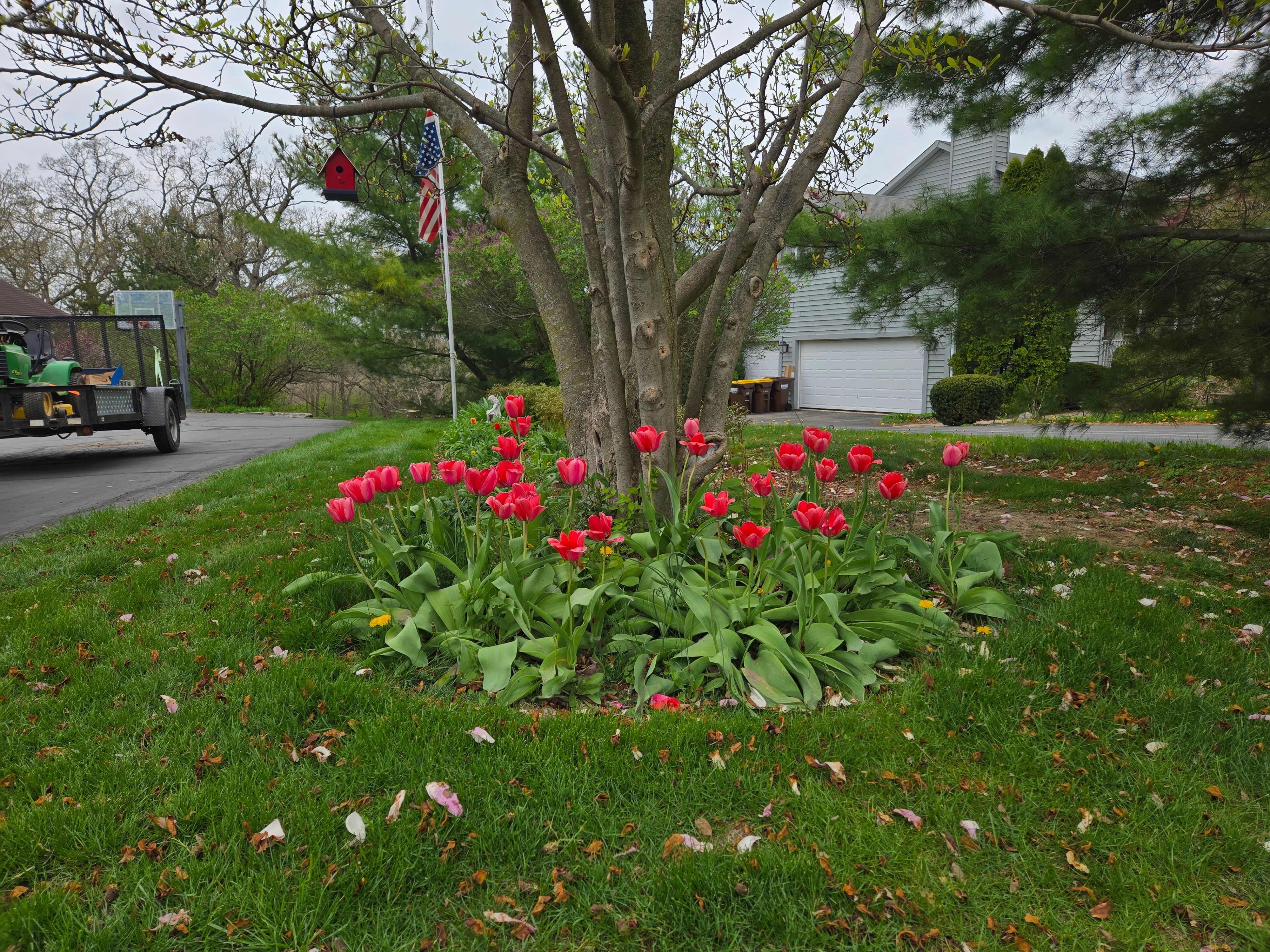 All Photos for Elite Landscaping in Hampshire, IL