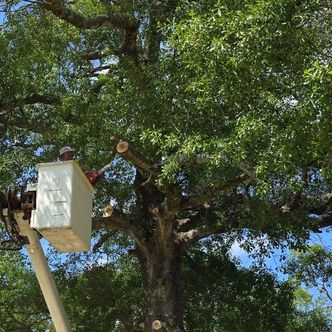  for Breaktime Tree Trimming & Removal in Oakdale, LA