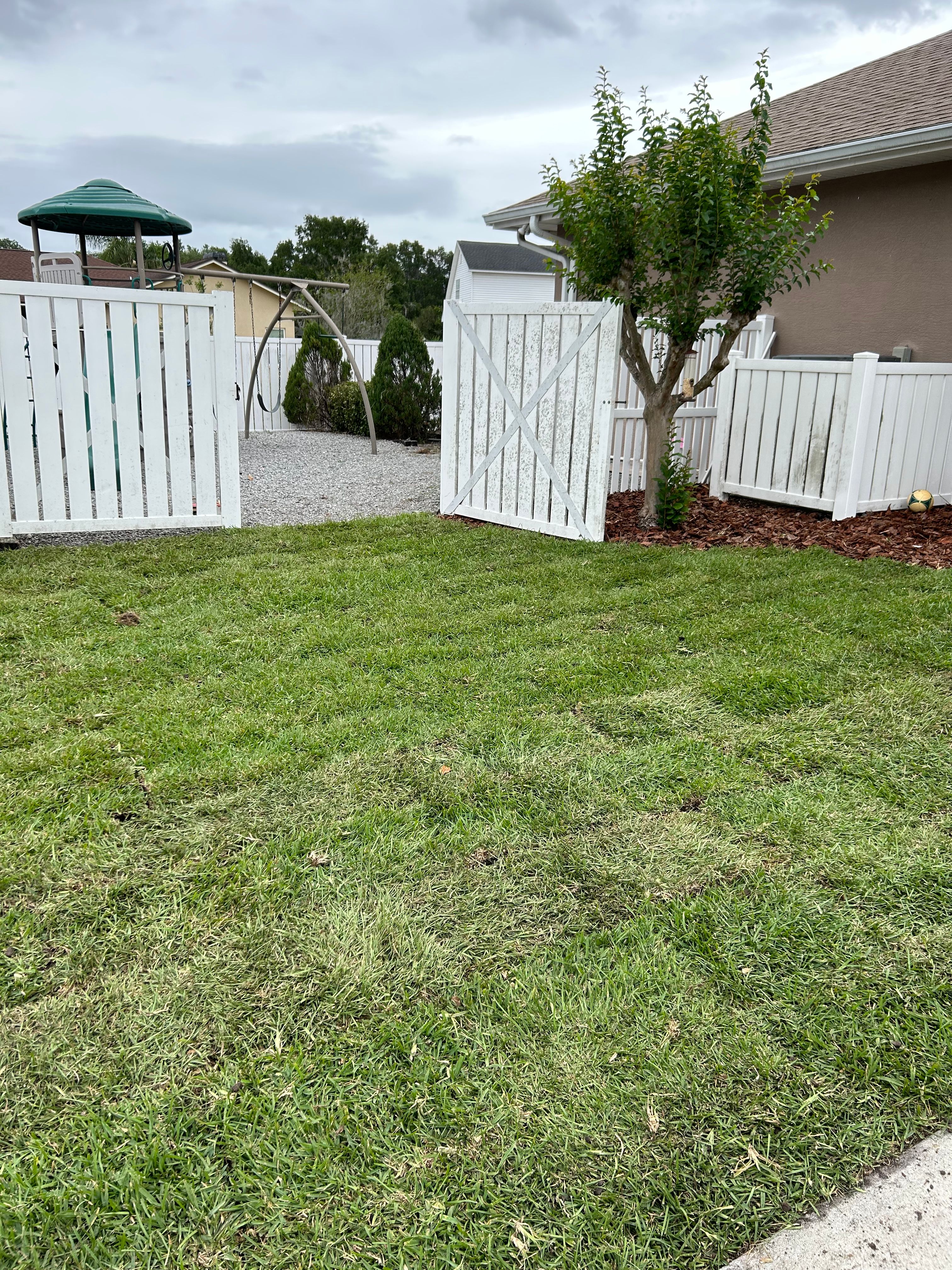 Lawn Care for Estrada All Pro Lawn Service in Auburndale, Florida