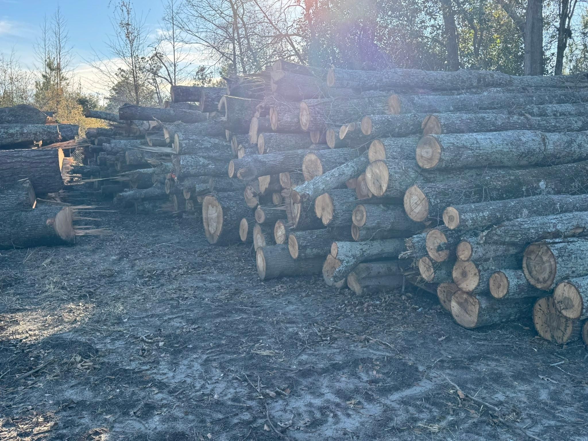 All Photos for Clean Acres in Hartsville, SC