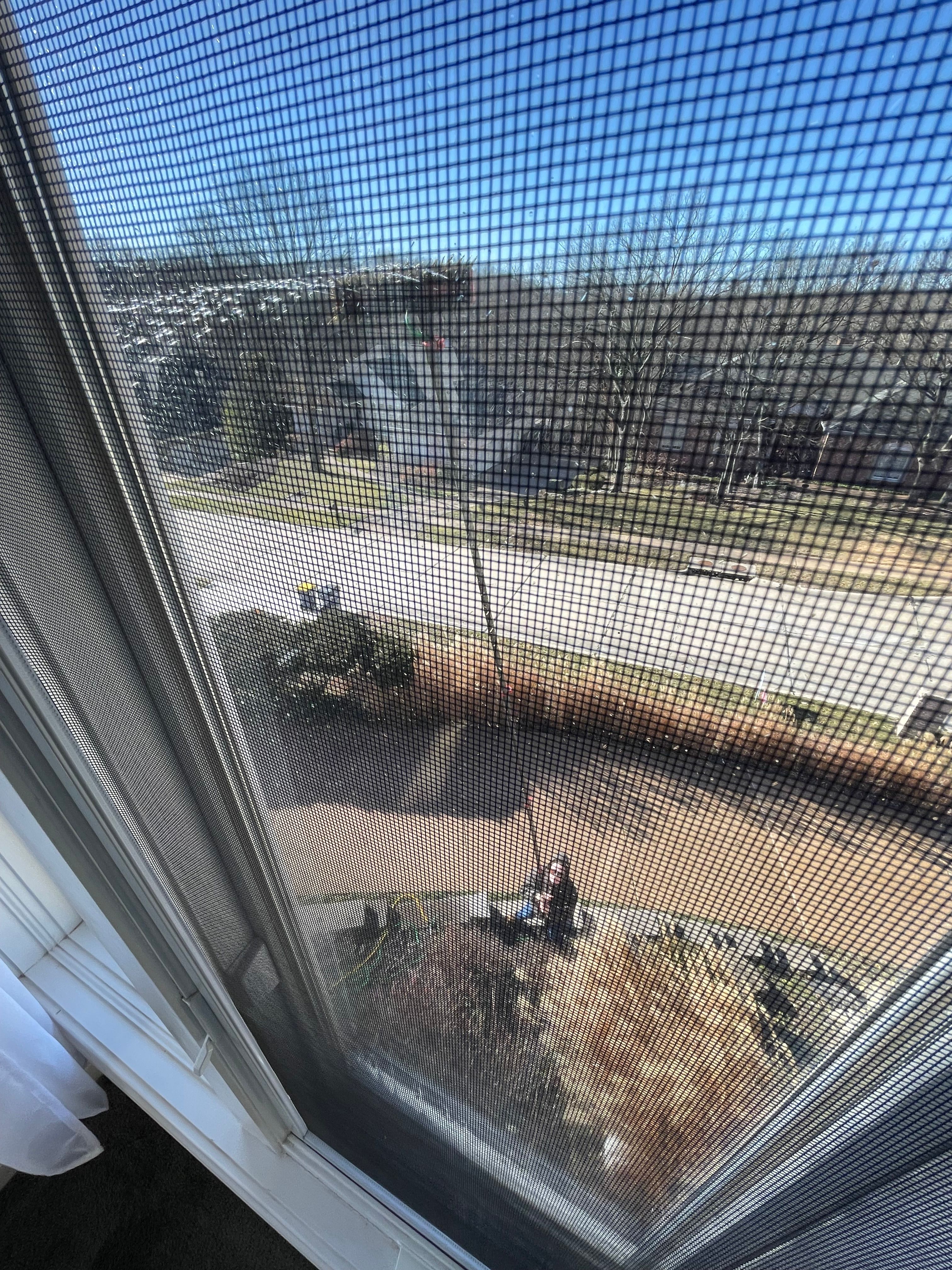  for See2it Clean in St Louis, MO