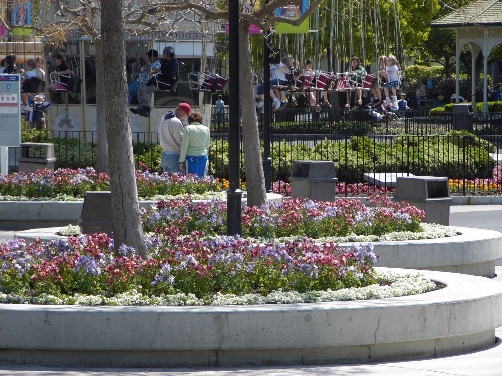 Themed Horticultural Designs for Martin Stanko Landscape Construction in Livermore, CA