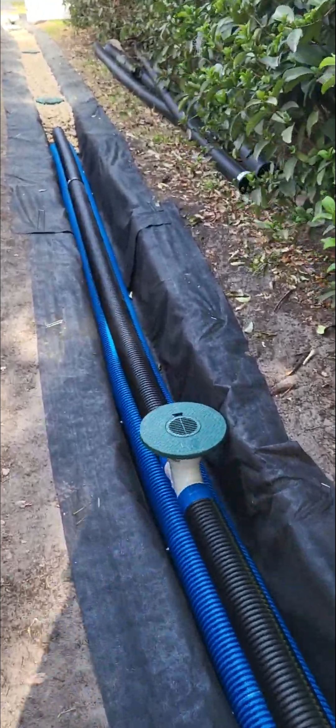  for Sam's French Drains and Landscape in Orlando, Florida