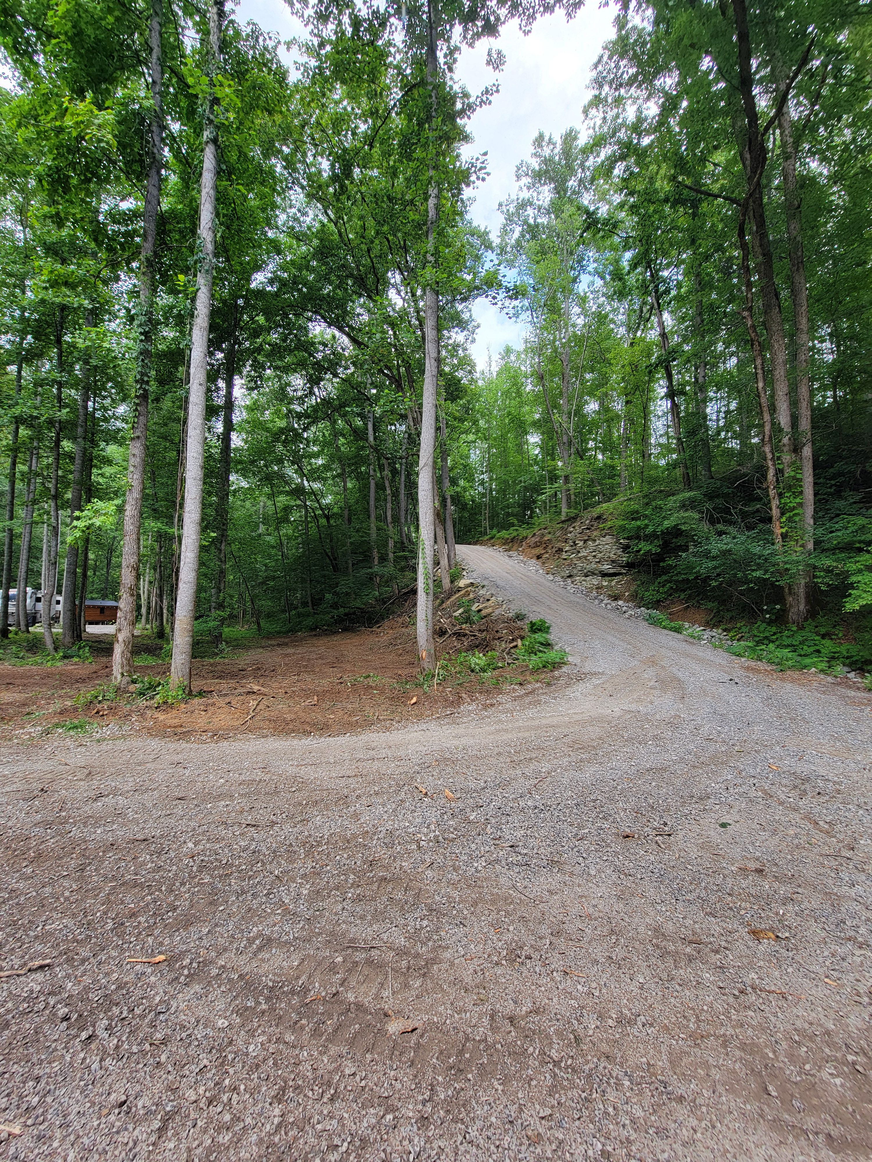  for Z's Land Management & Forestry Mulching in Smithville, TN