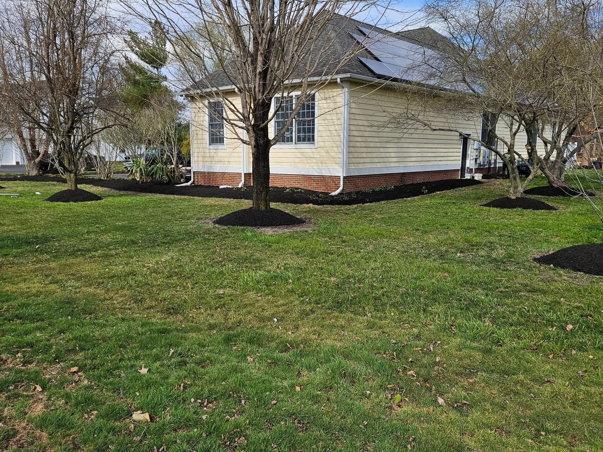  for New Dawn Landscaping LLC in Georgetown, DE