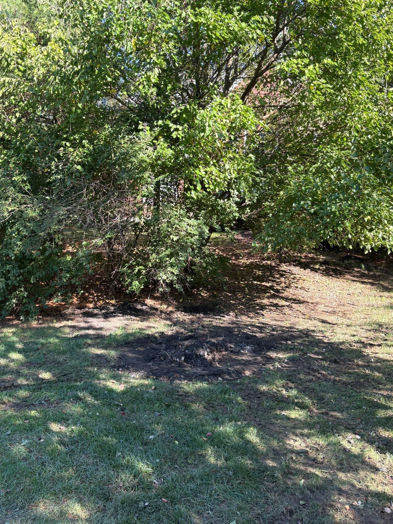  for Dig-It Tree Company in , 
