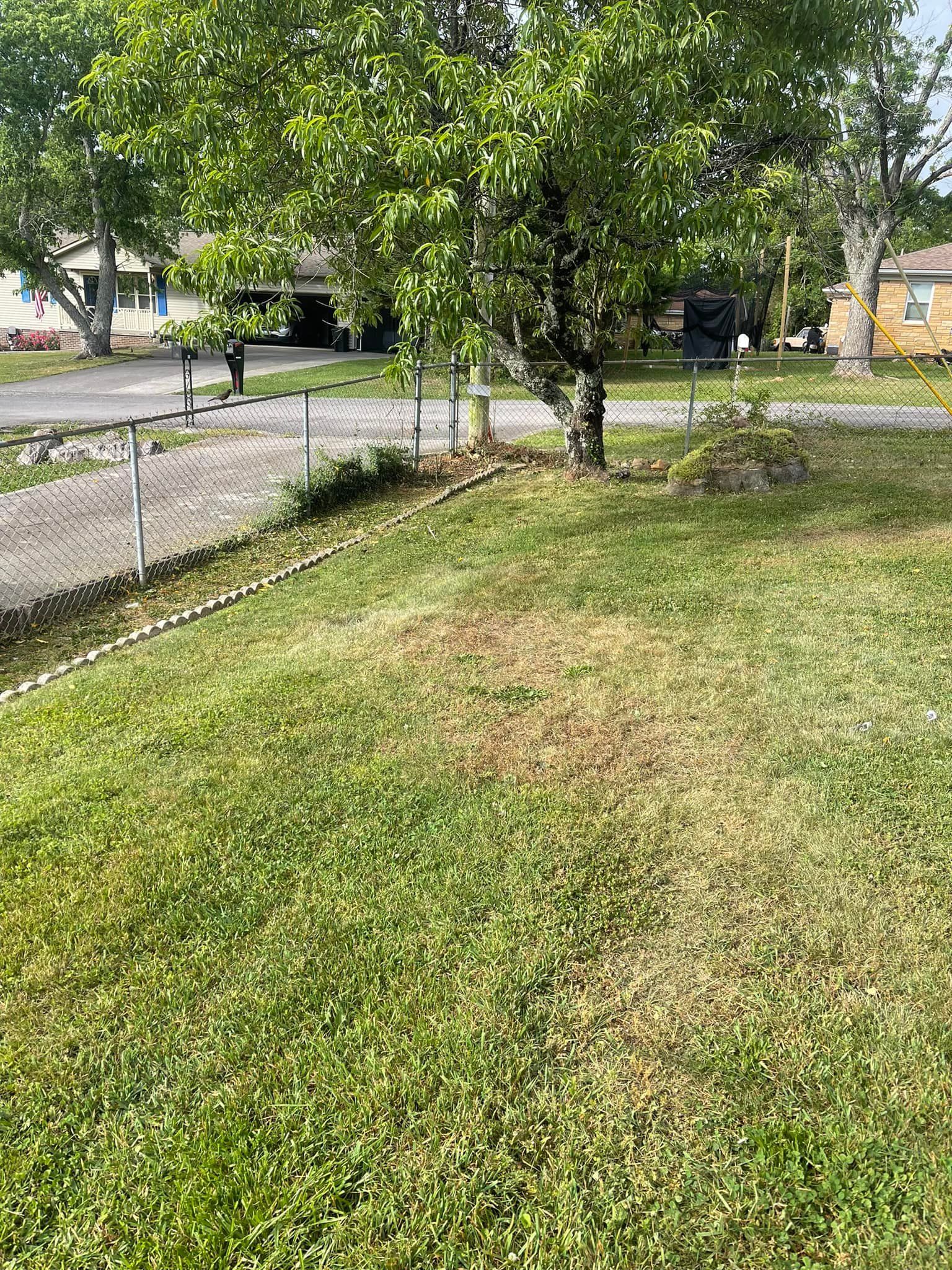 Lawn care and Landscaping for R&M Property Maintenance in White Pine, TN